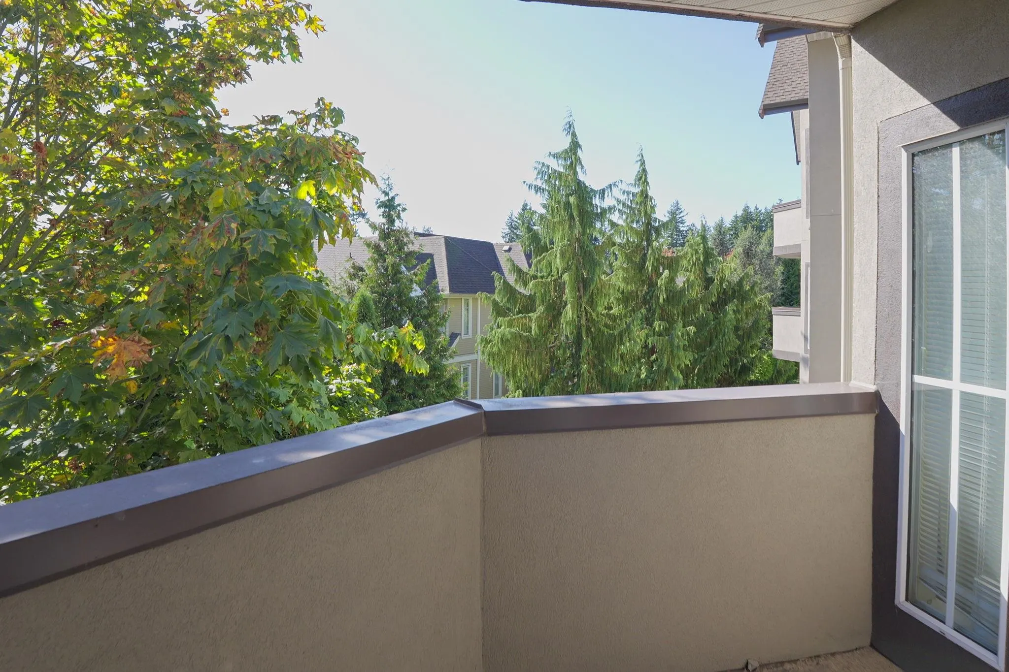 305 12464 191b Street