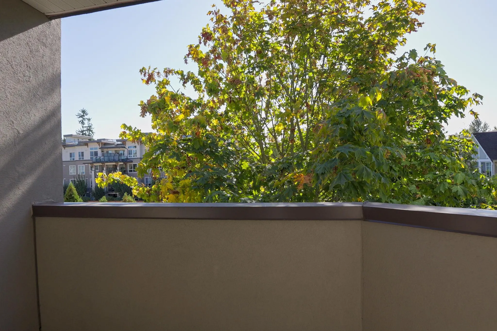 305 12464 191b Street