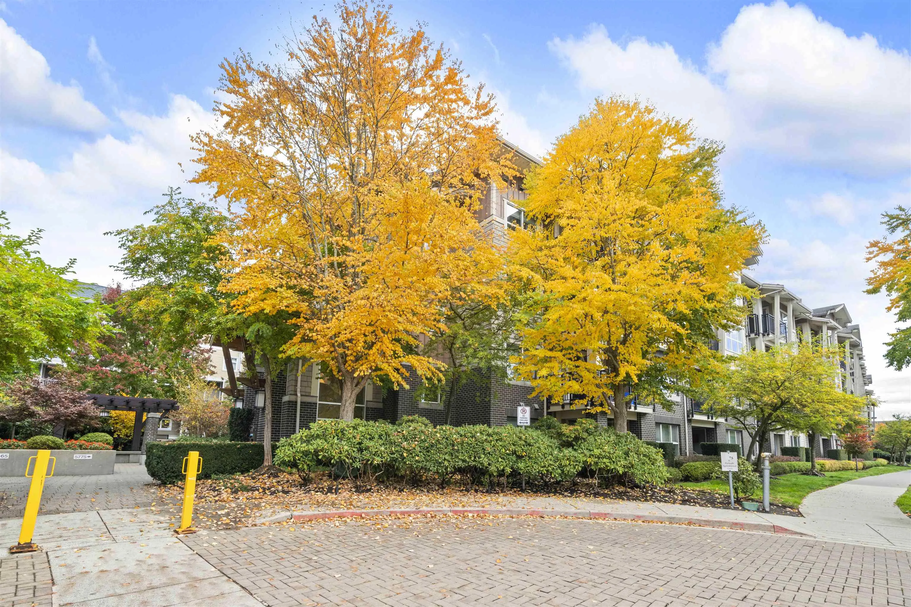 107 5775 Irmin Street