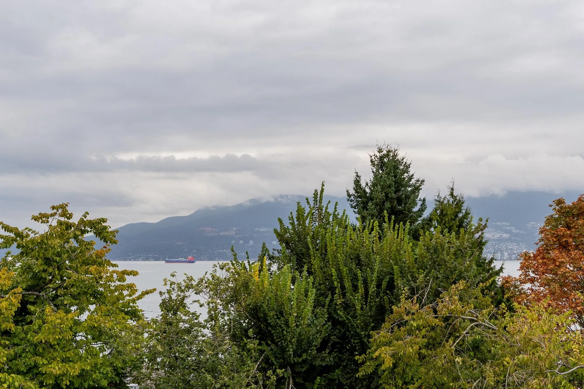 305 2430 Point Grey Road