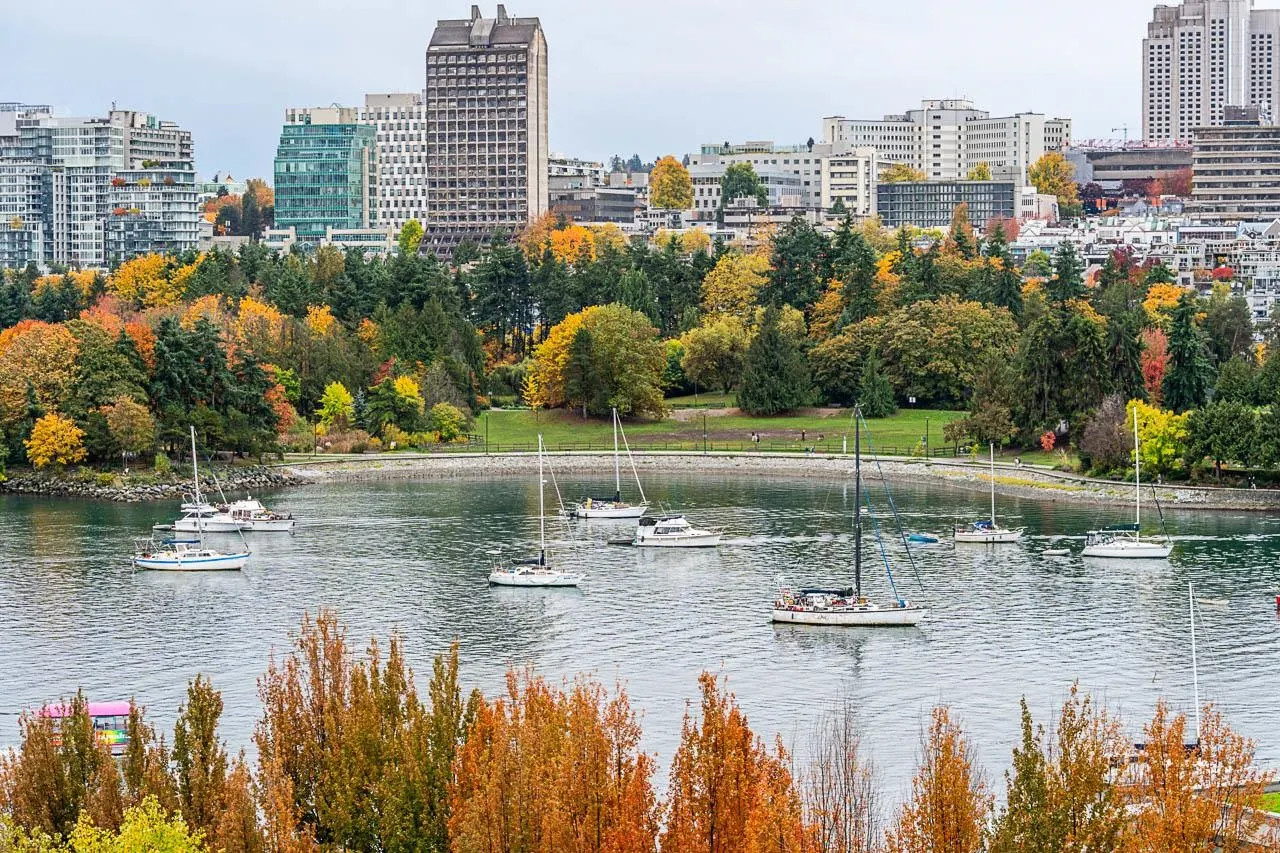 1003 1483 Homer Street