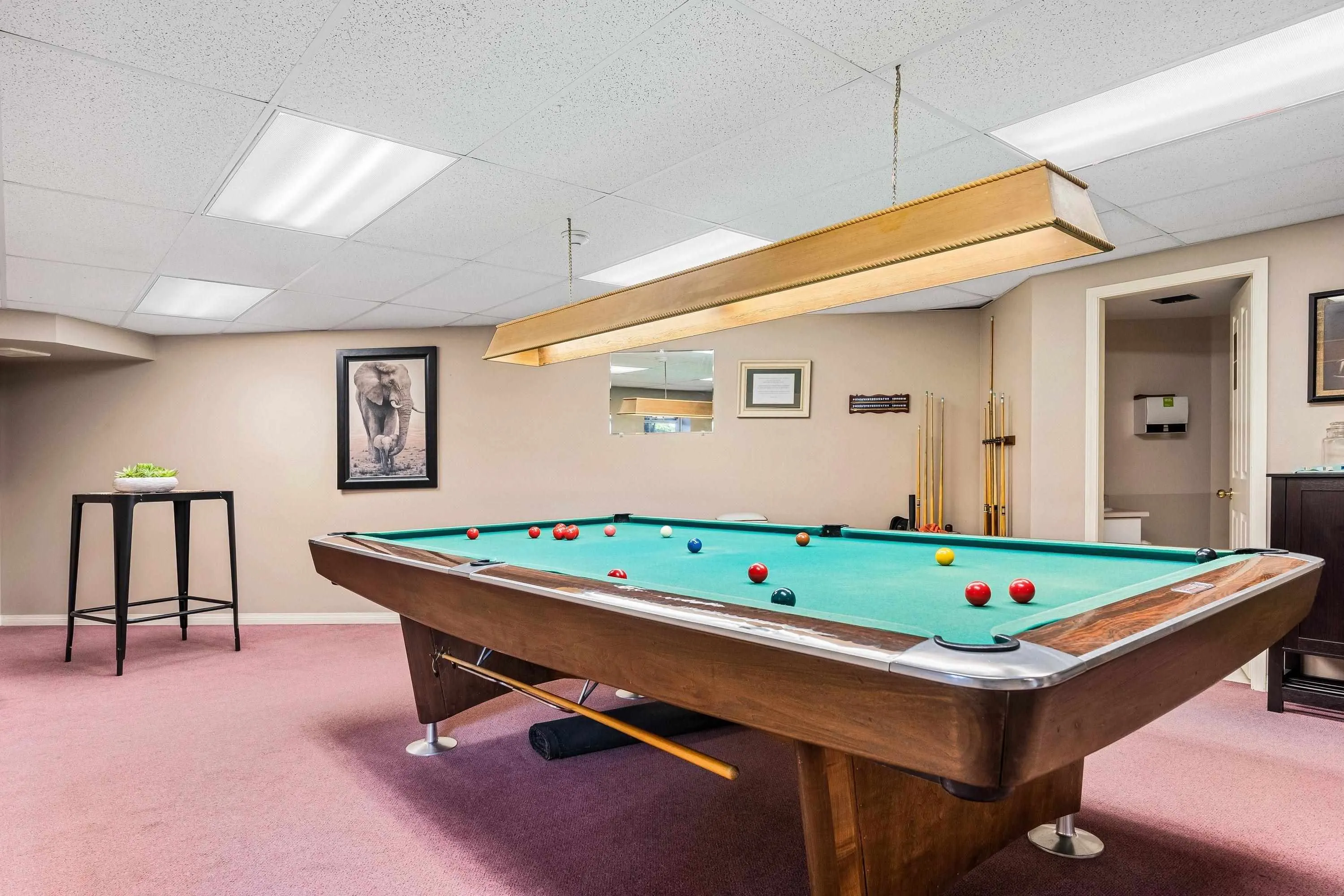 204 7685 Amber Drive