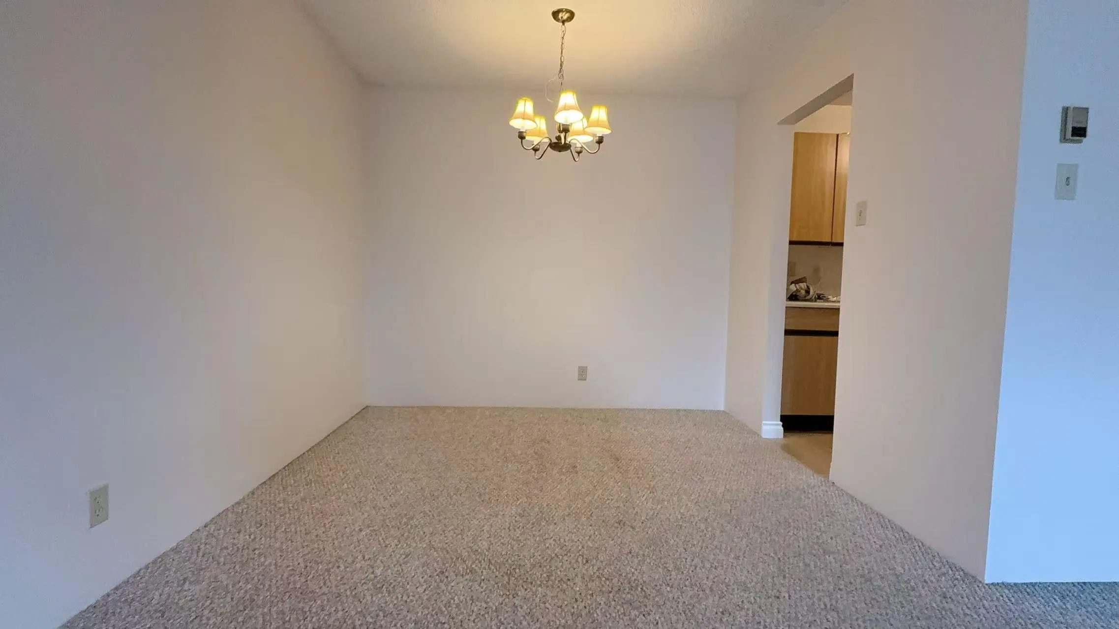 326 8411 Ackroyd Road