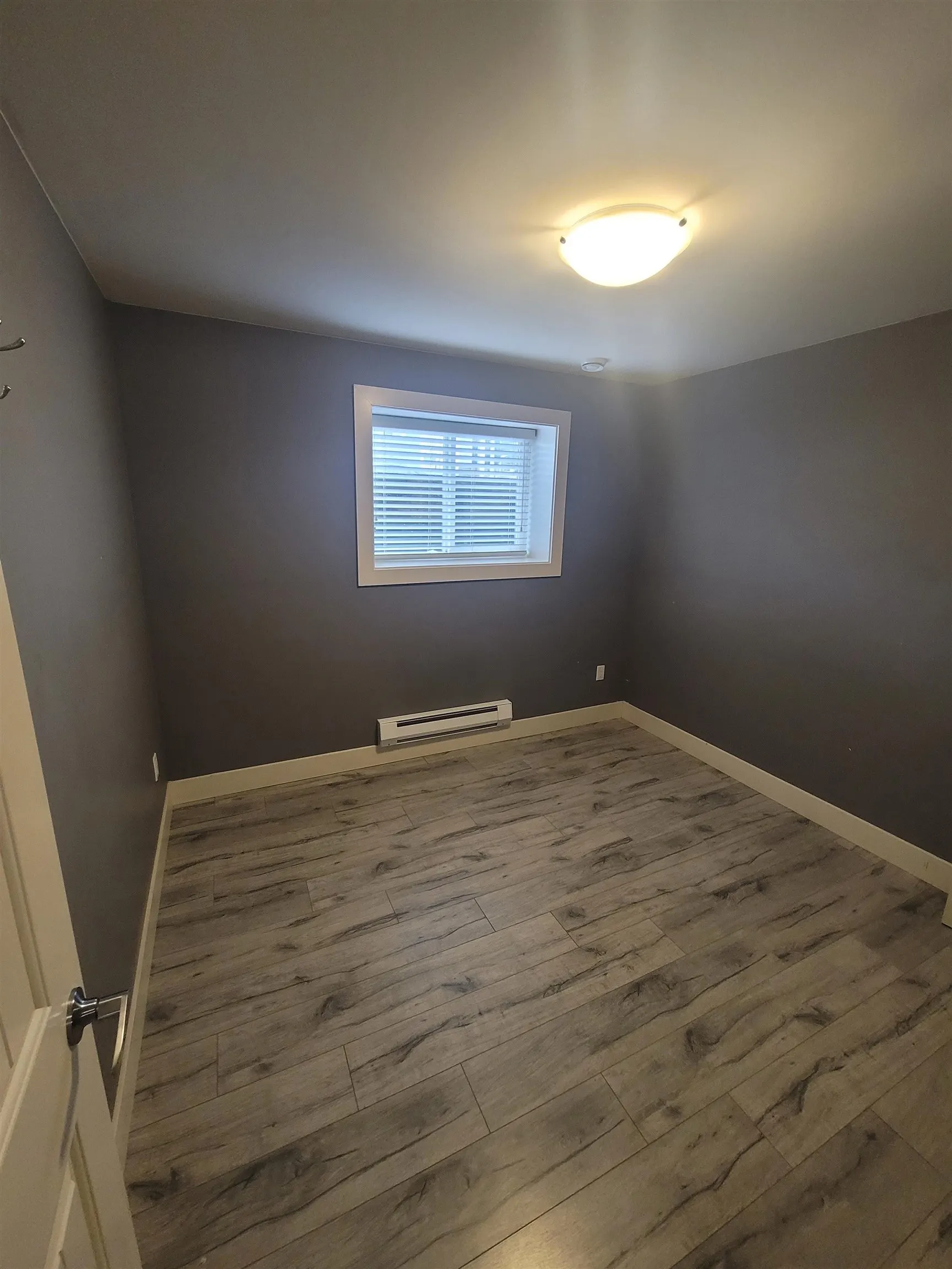 basement 10595 159b Street