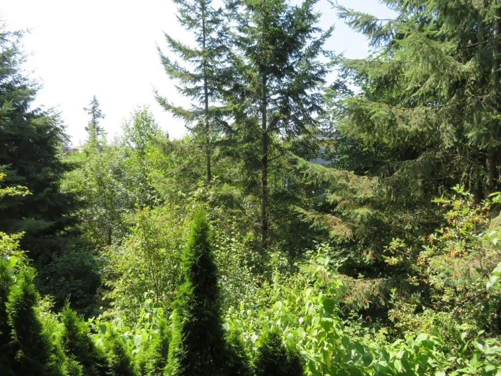 404 9339 University Crescent