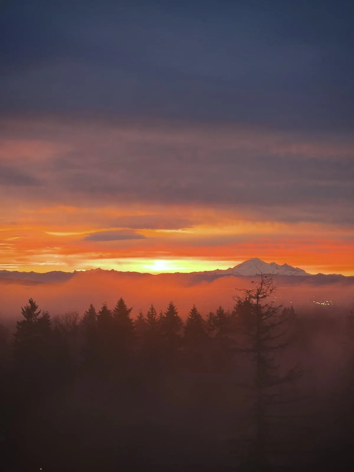 1905 3080 Lincoln Avenue