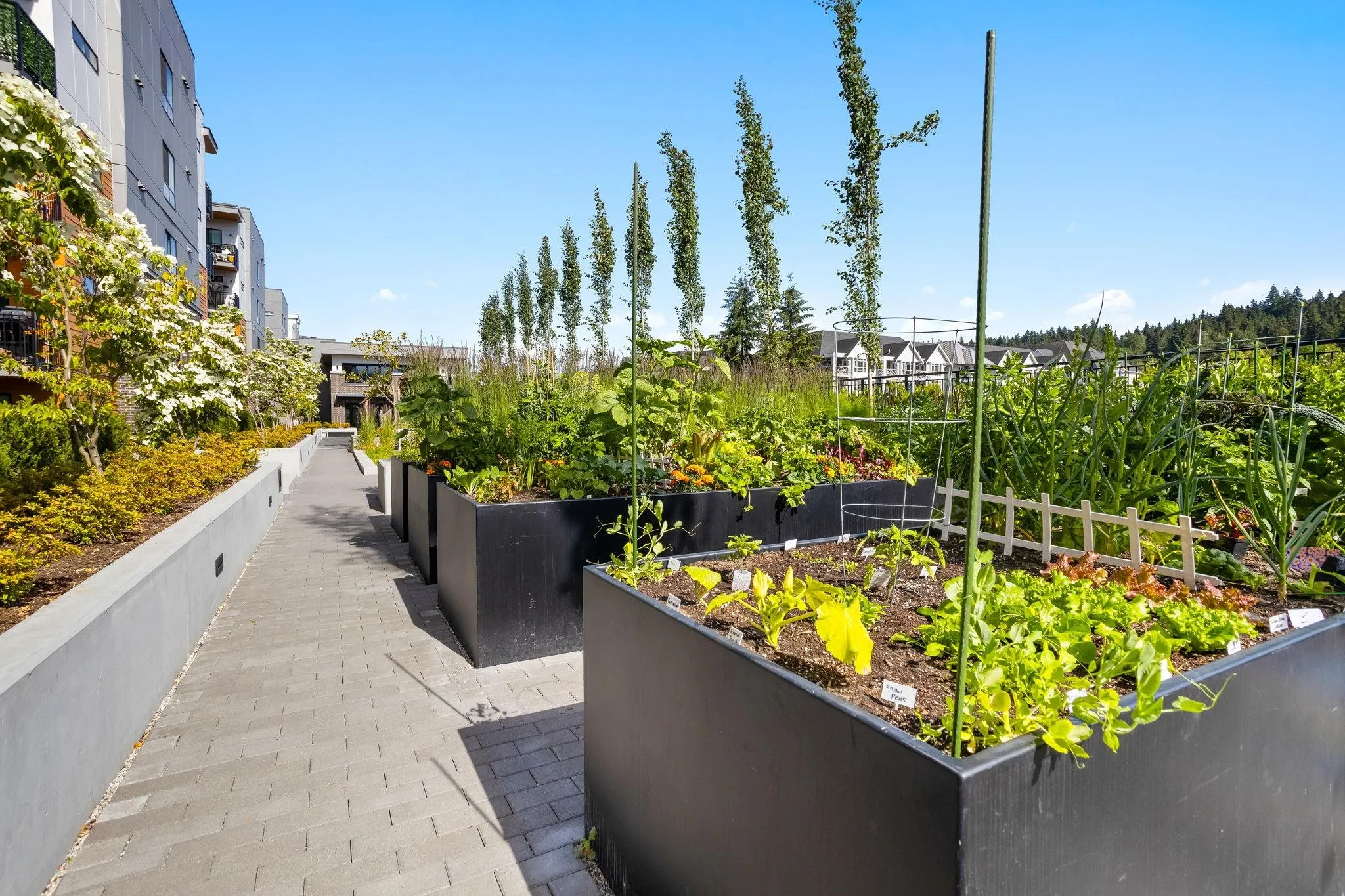 619 55 Klahanie Drive