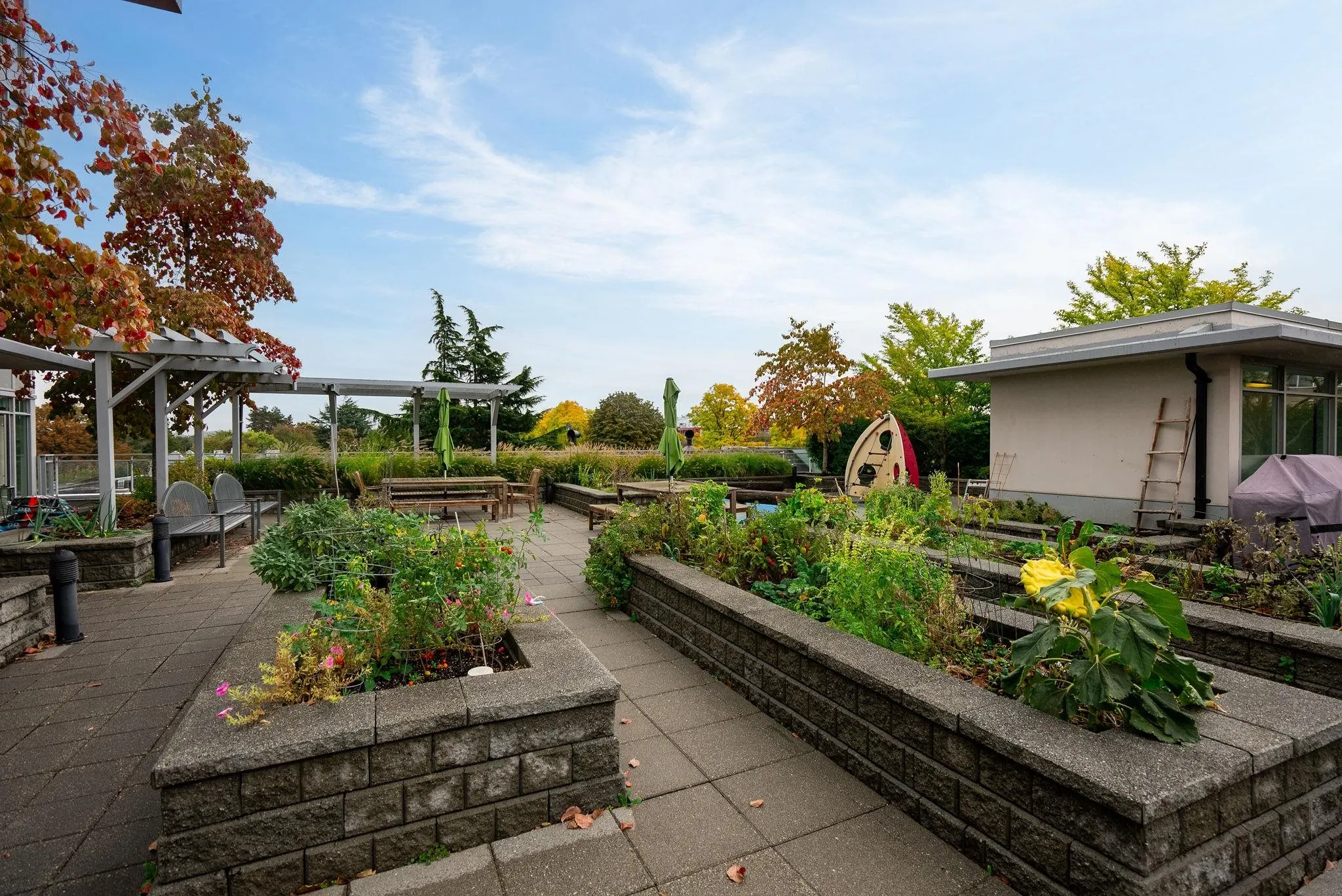 709 2321 Scotia Street