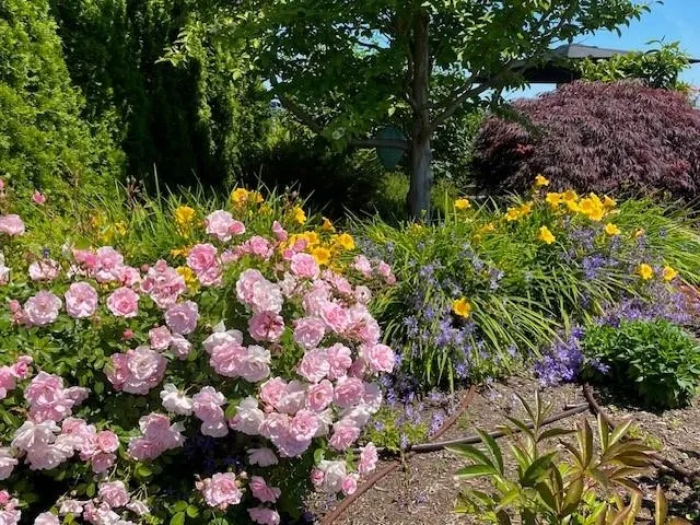 1402 181 W 1st Avenue