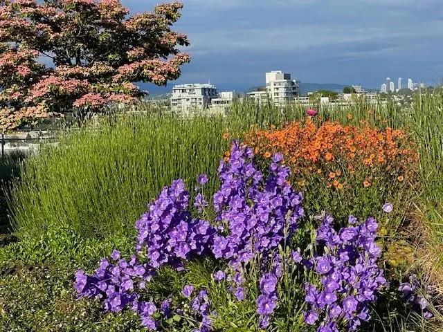 1402 181 W 1st Avenue