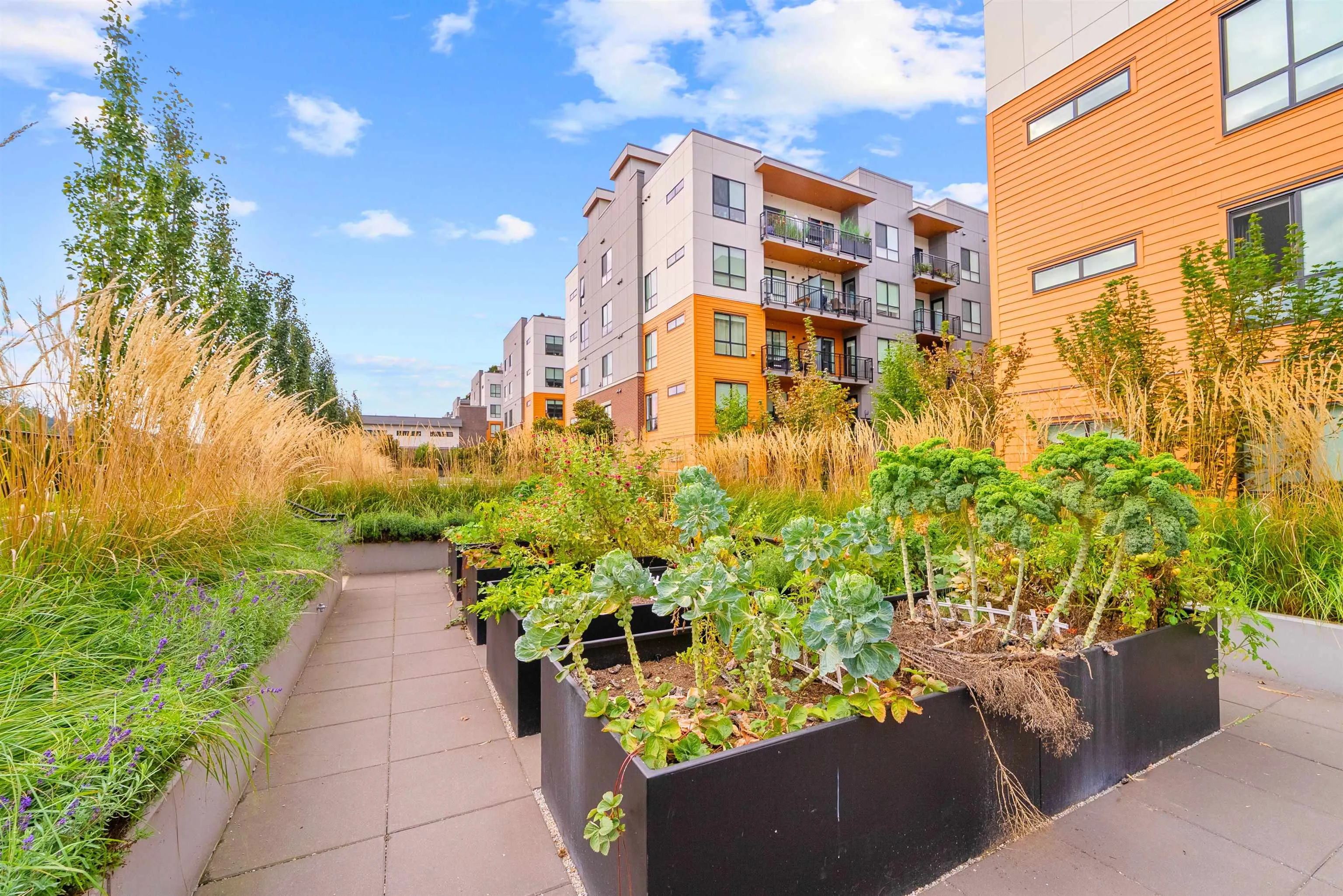 237 55 Klahanie Drive