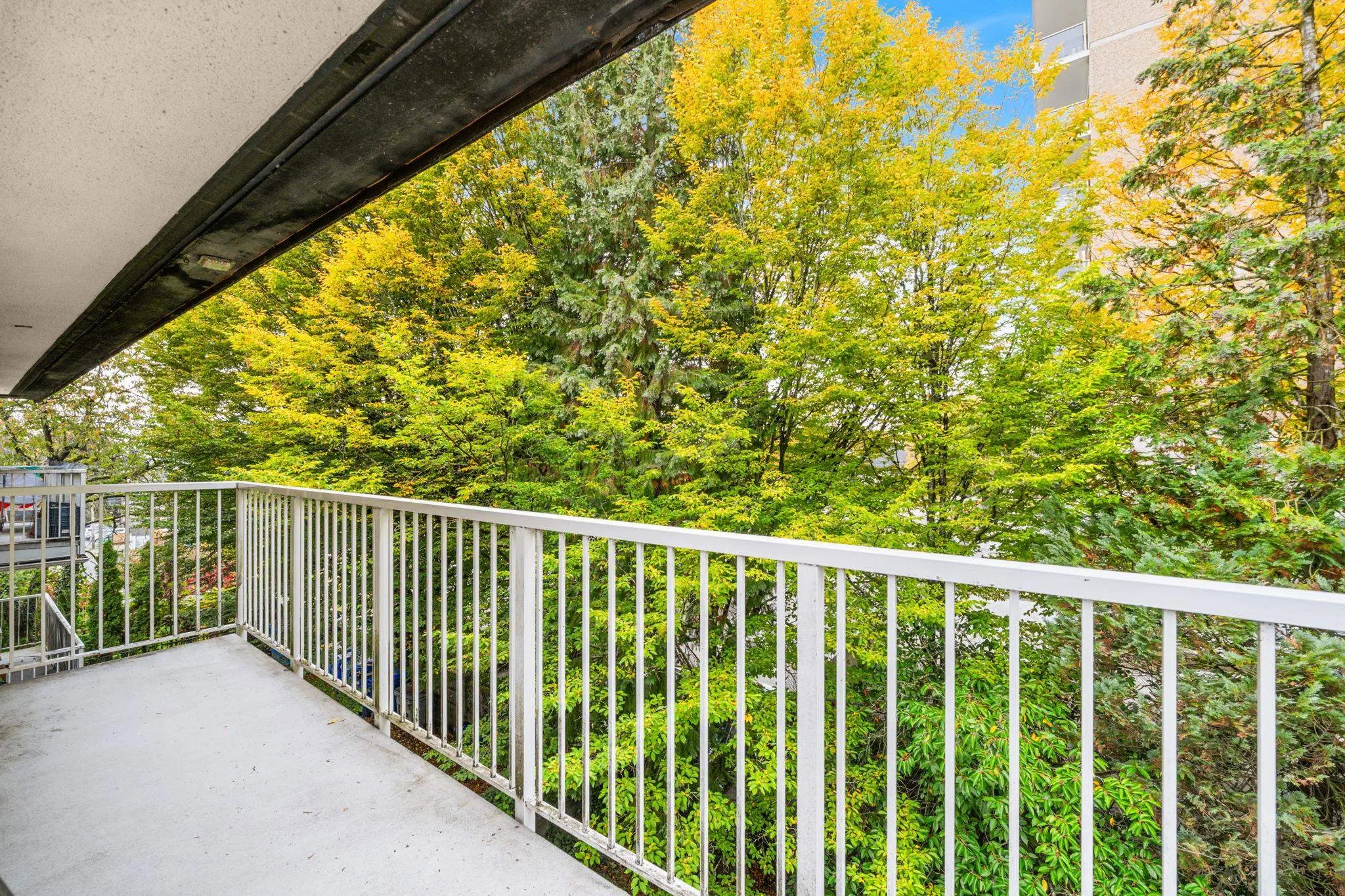 202 815 Fourth Avenue