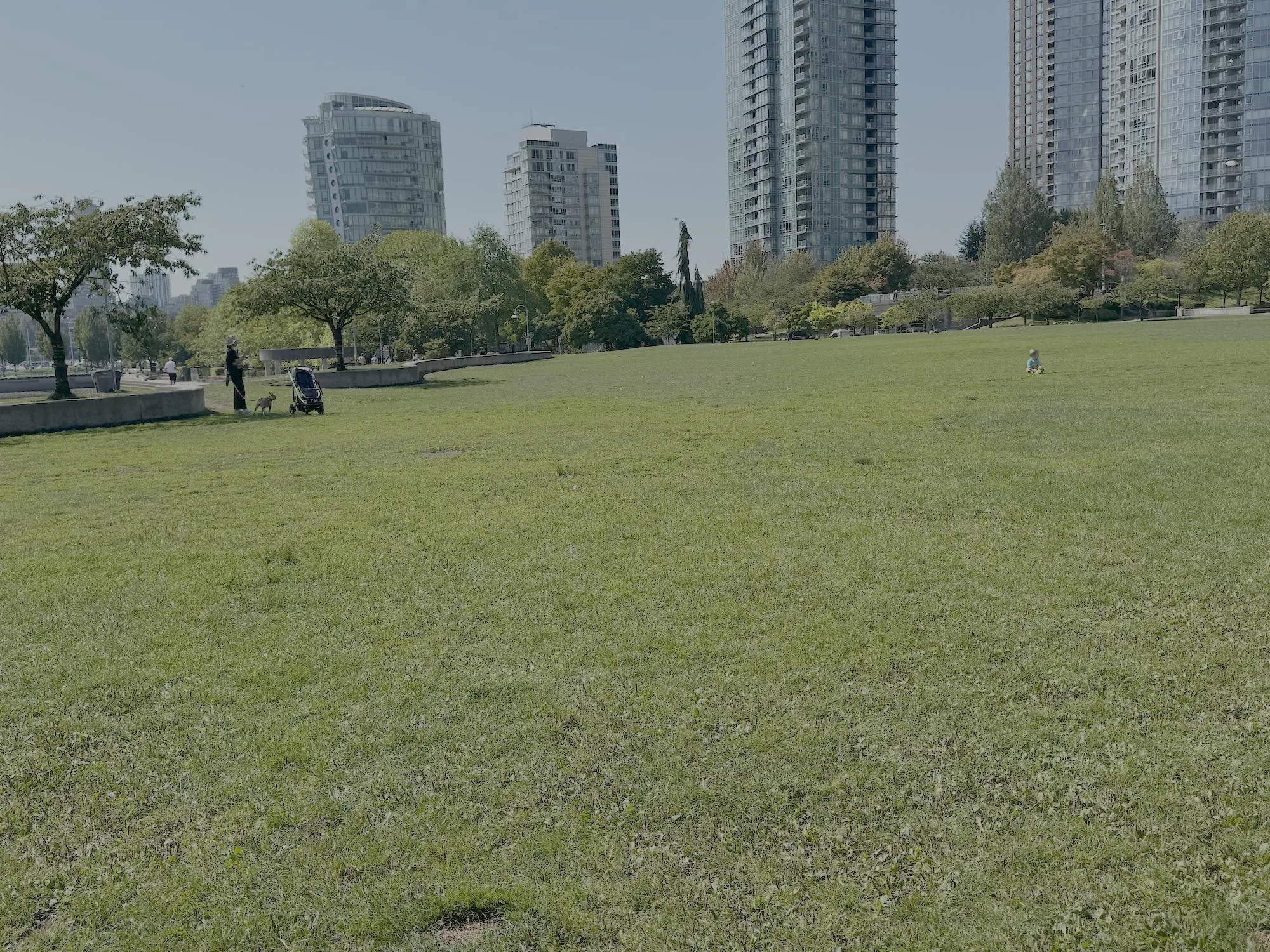 502 1388 Homer Street