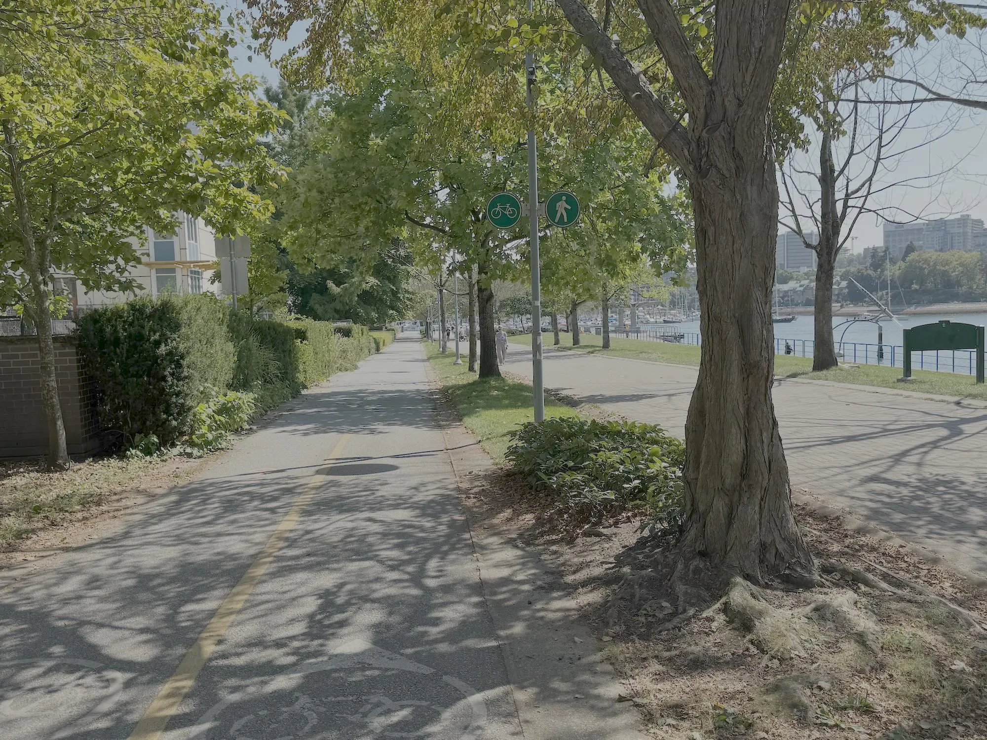 502 1388 Homer Street