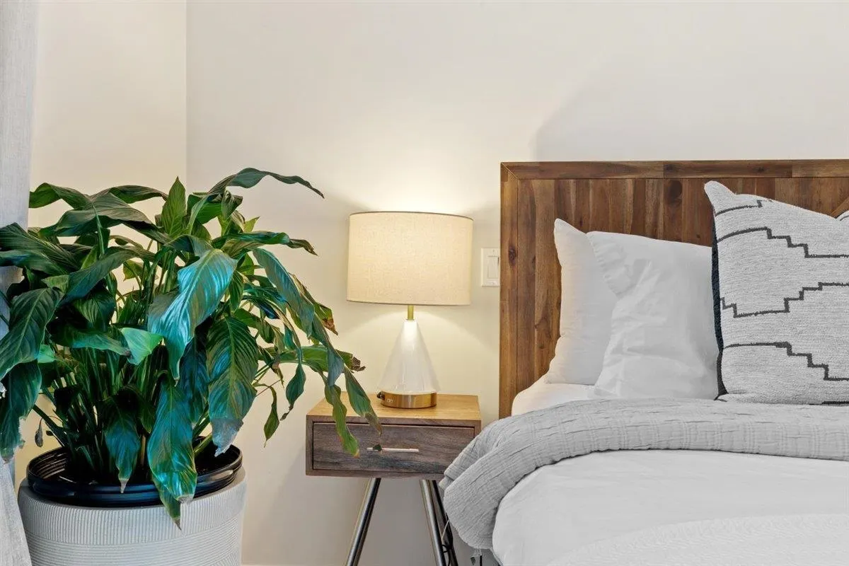 37 3728 Thurston Street