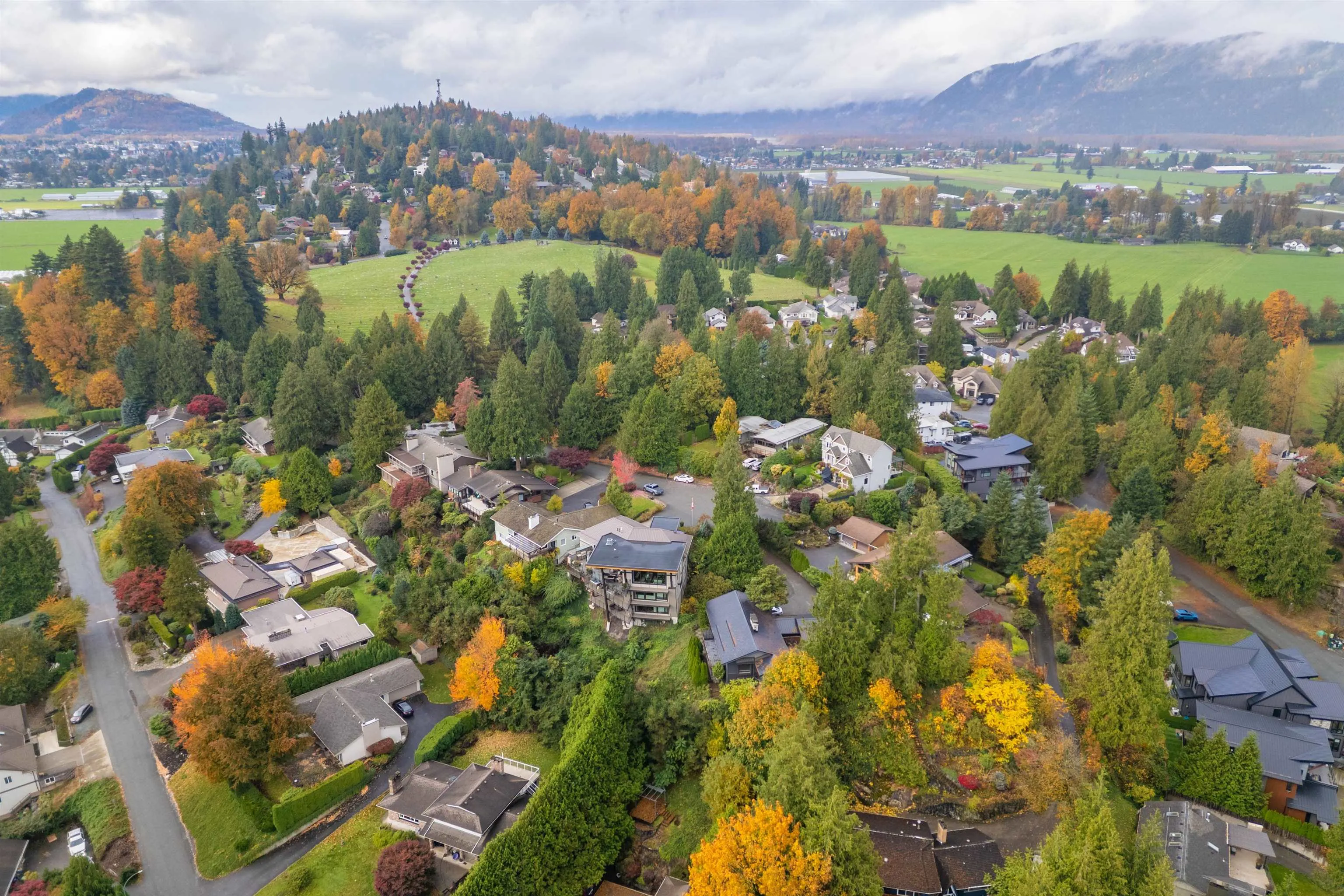 10035 Timberline Place