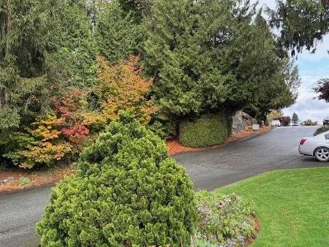 10035 Timberline Place