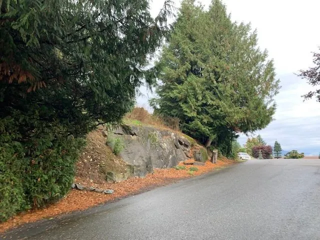 10035 Timberline Place