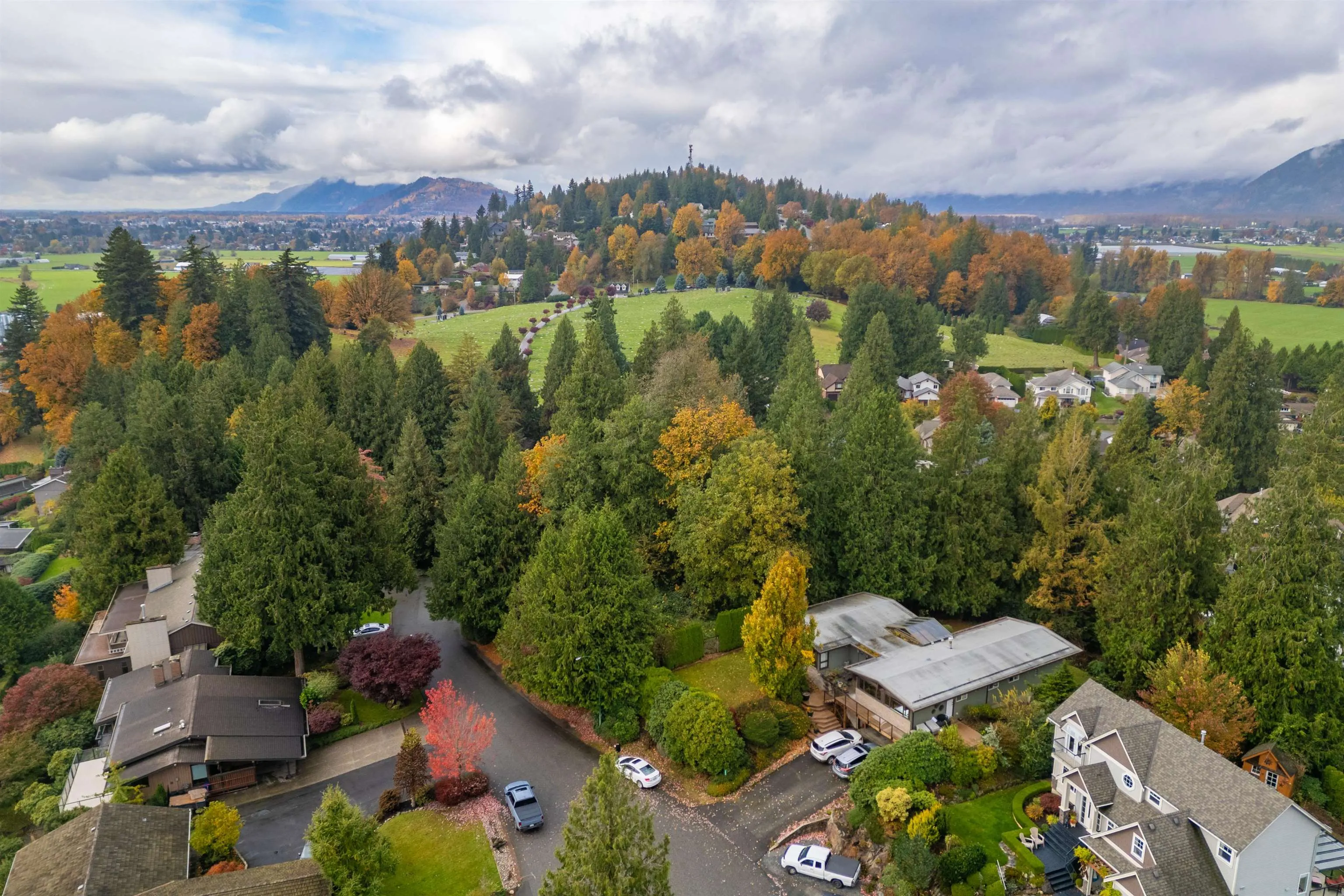 10035 Timberline Place