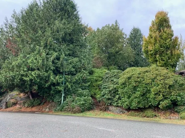 10035 Timberline Place