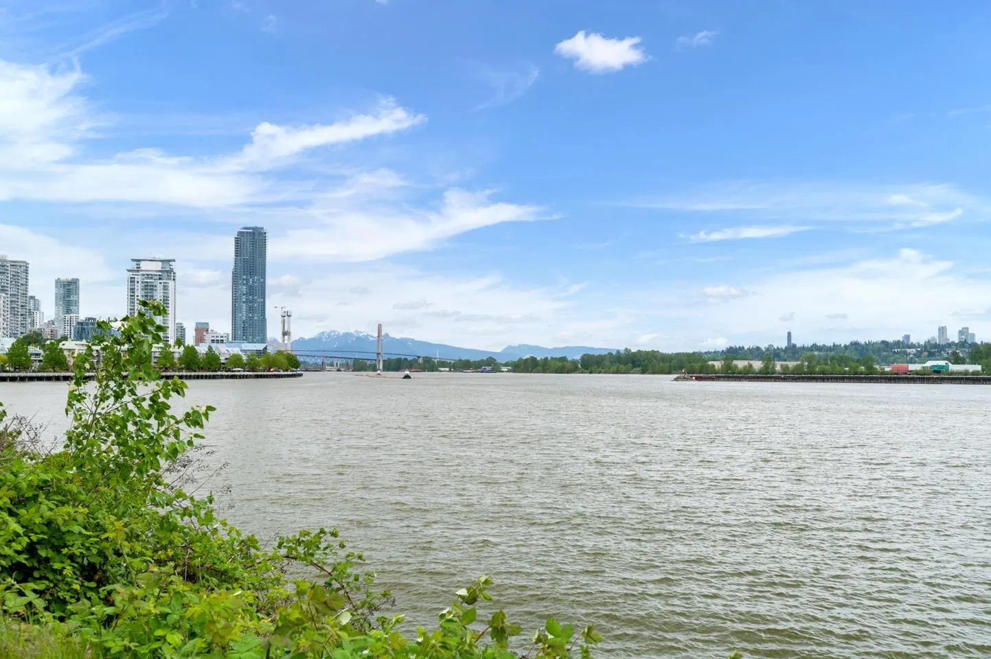 402 220 Salter Street