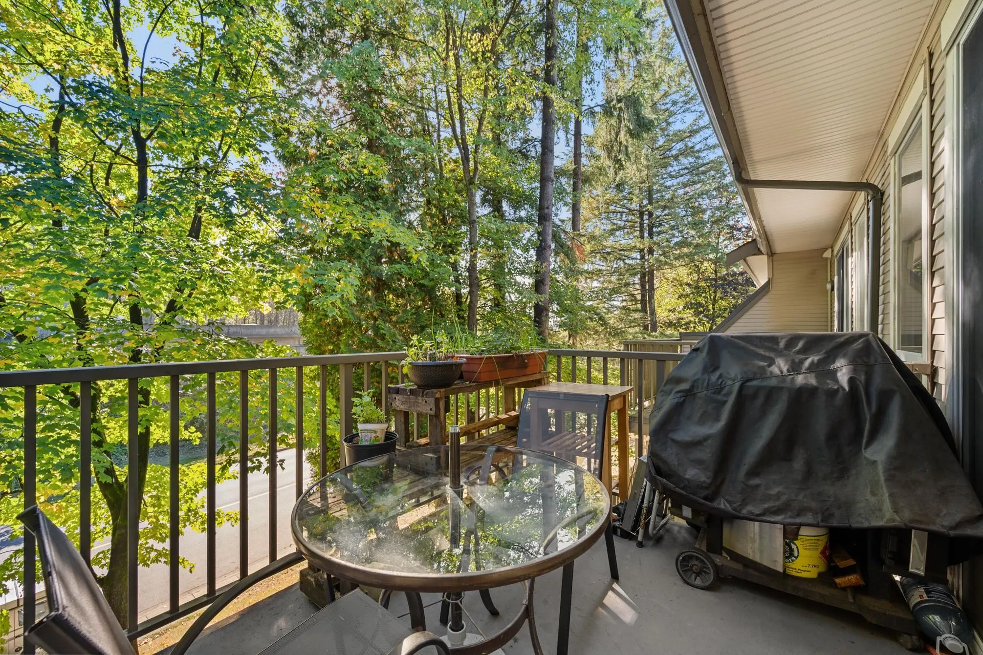 172 9133 Government Street