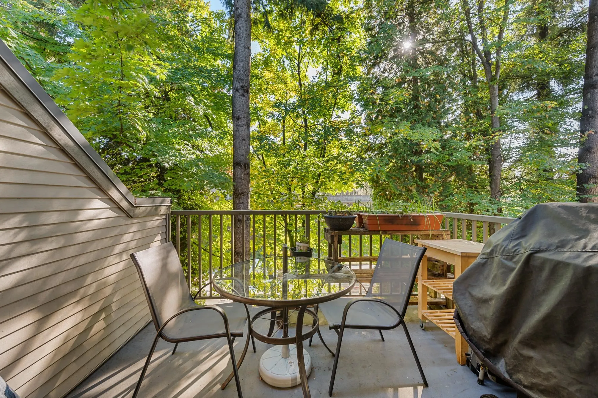 172 9133 Government Street