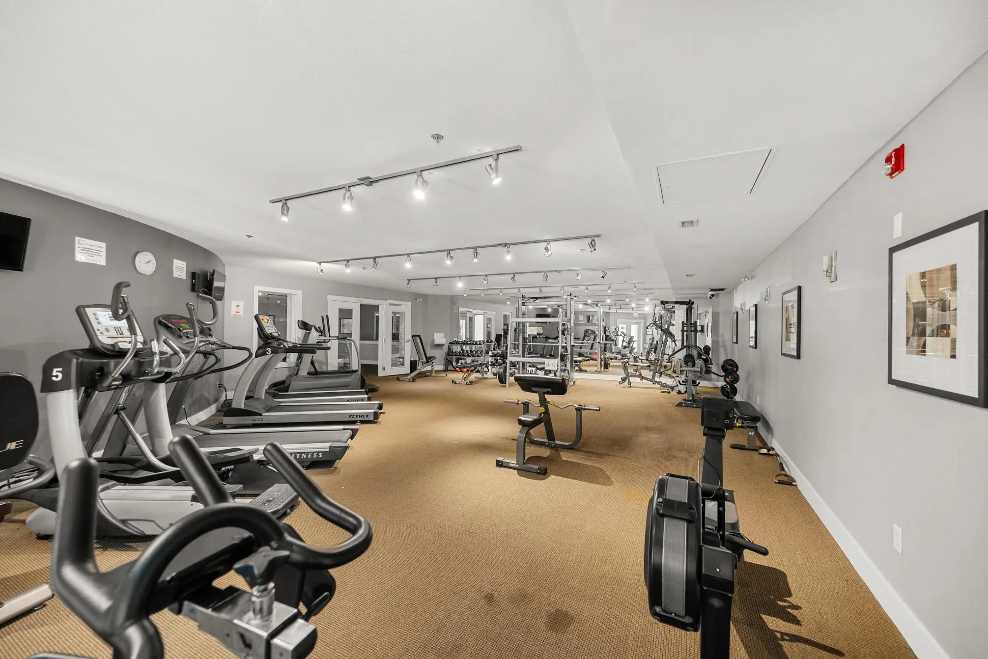 172 9133 Government Street