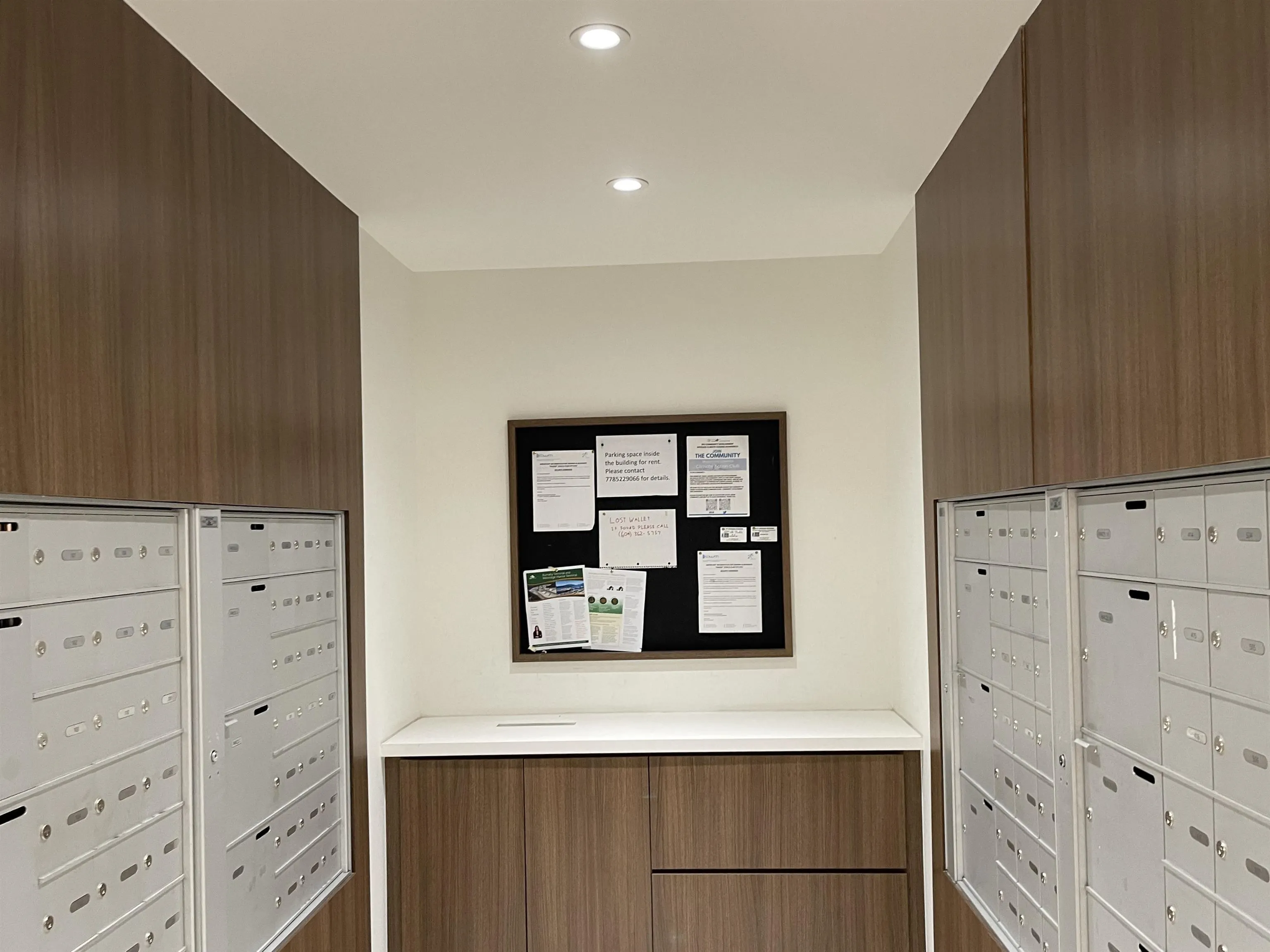 309 9228 Slopes Mews