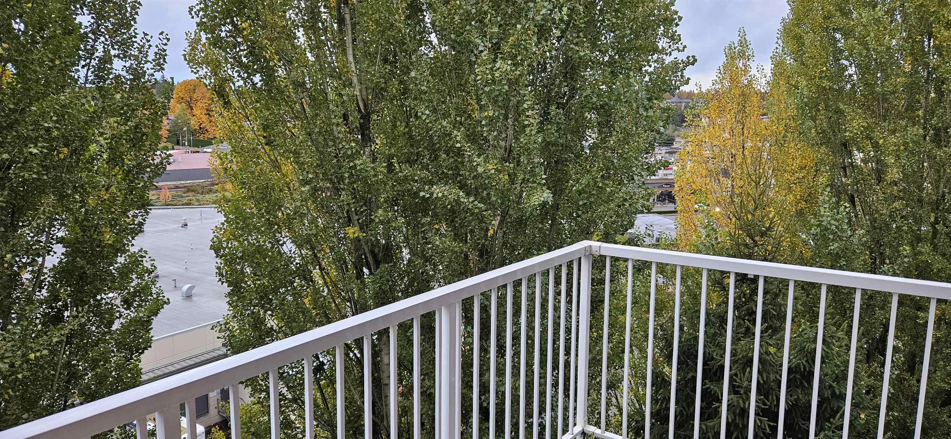 310 33960 Old Yale Road