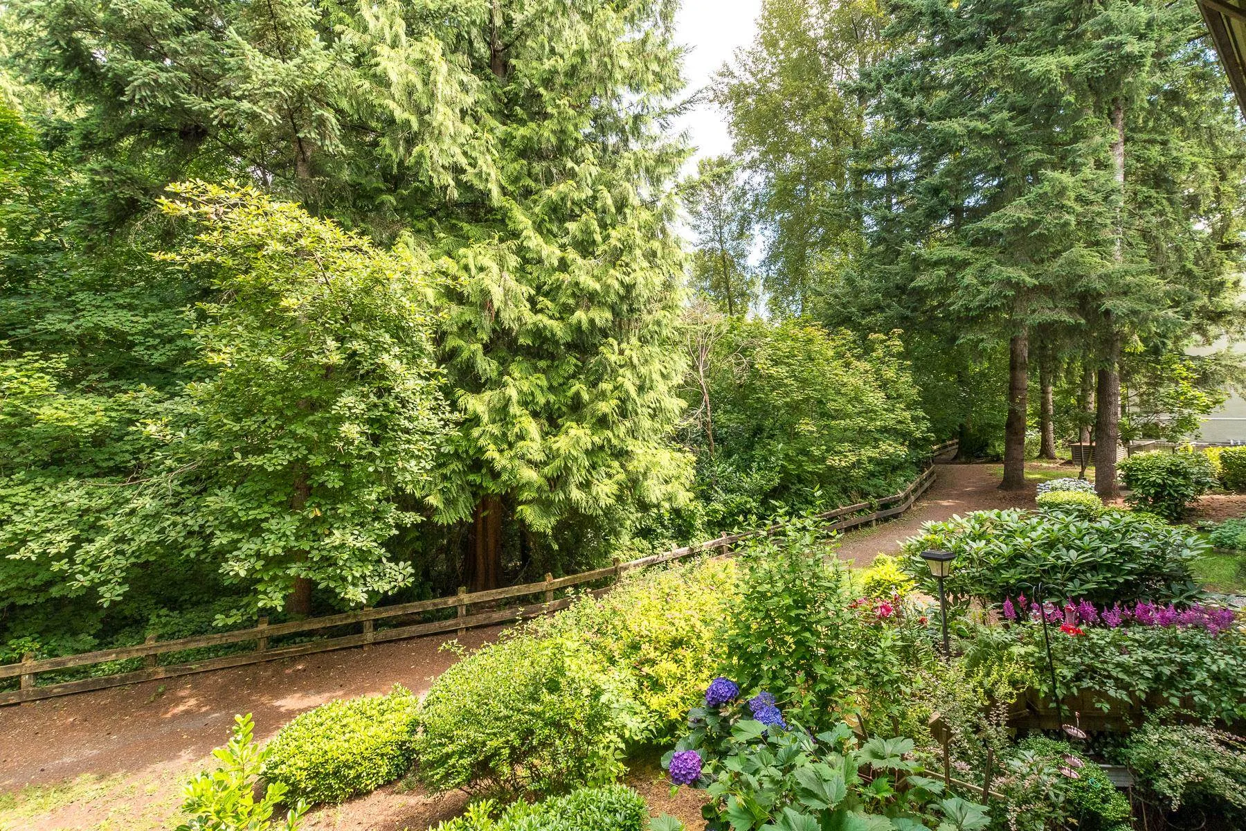 205 1200 Pacific Street