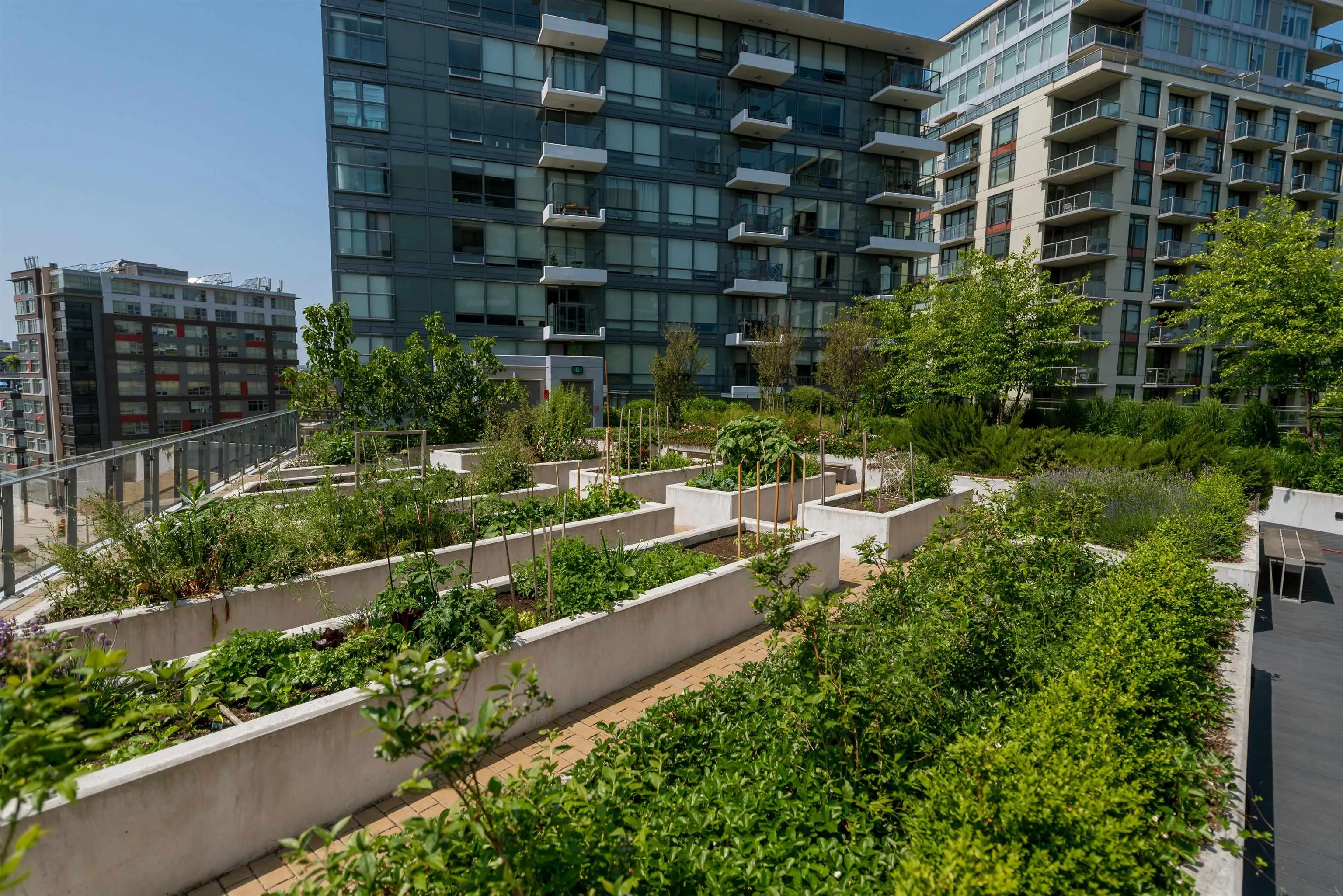 208 1788 Columbia Street