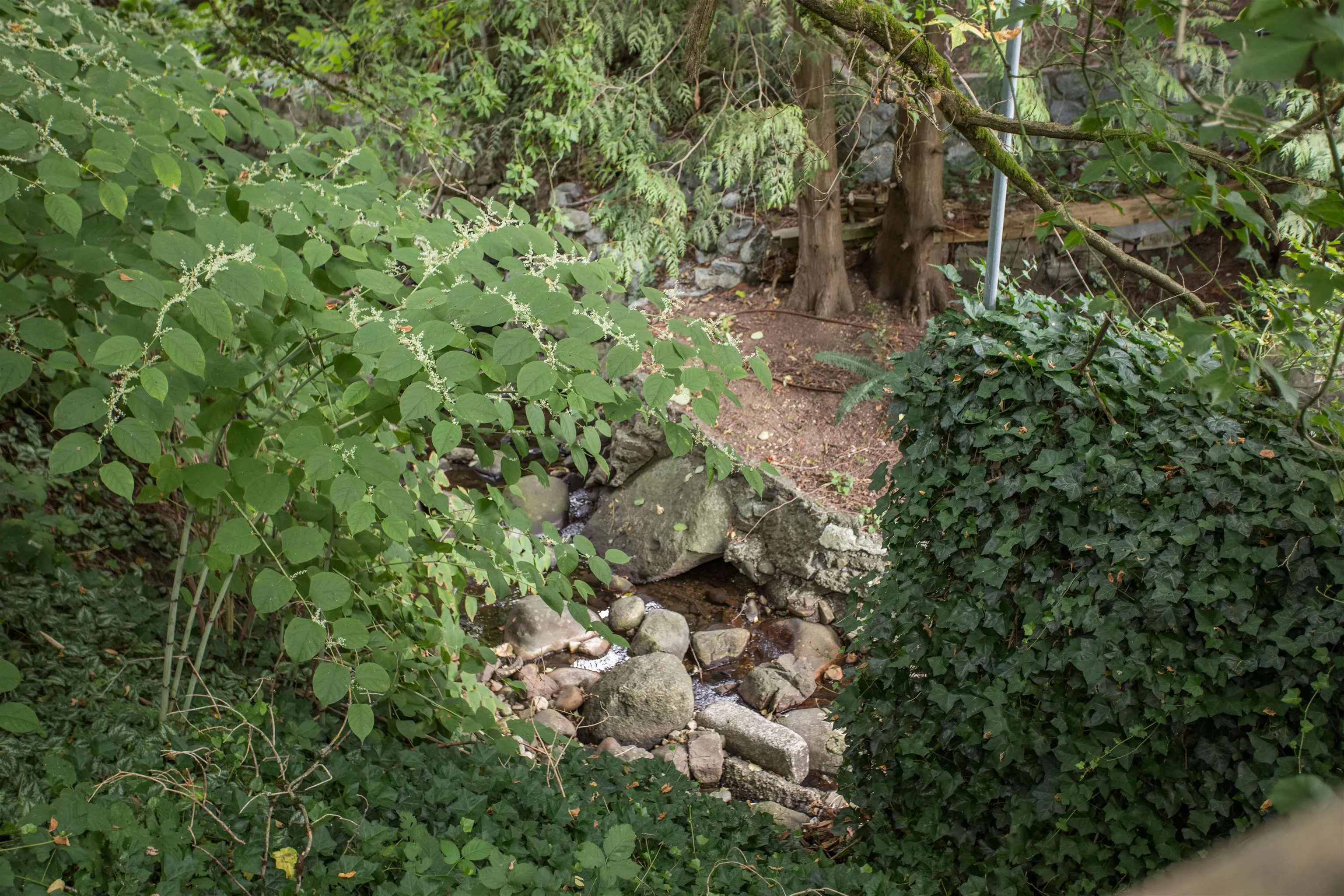 1005 Alderson Avenue