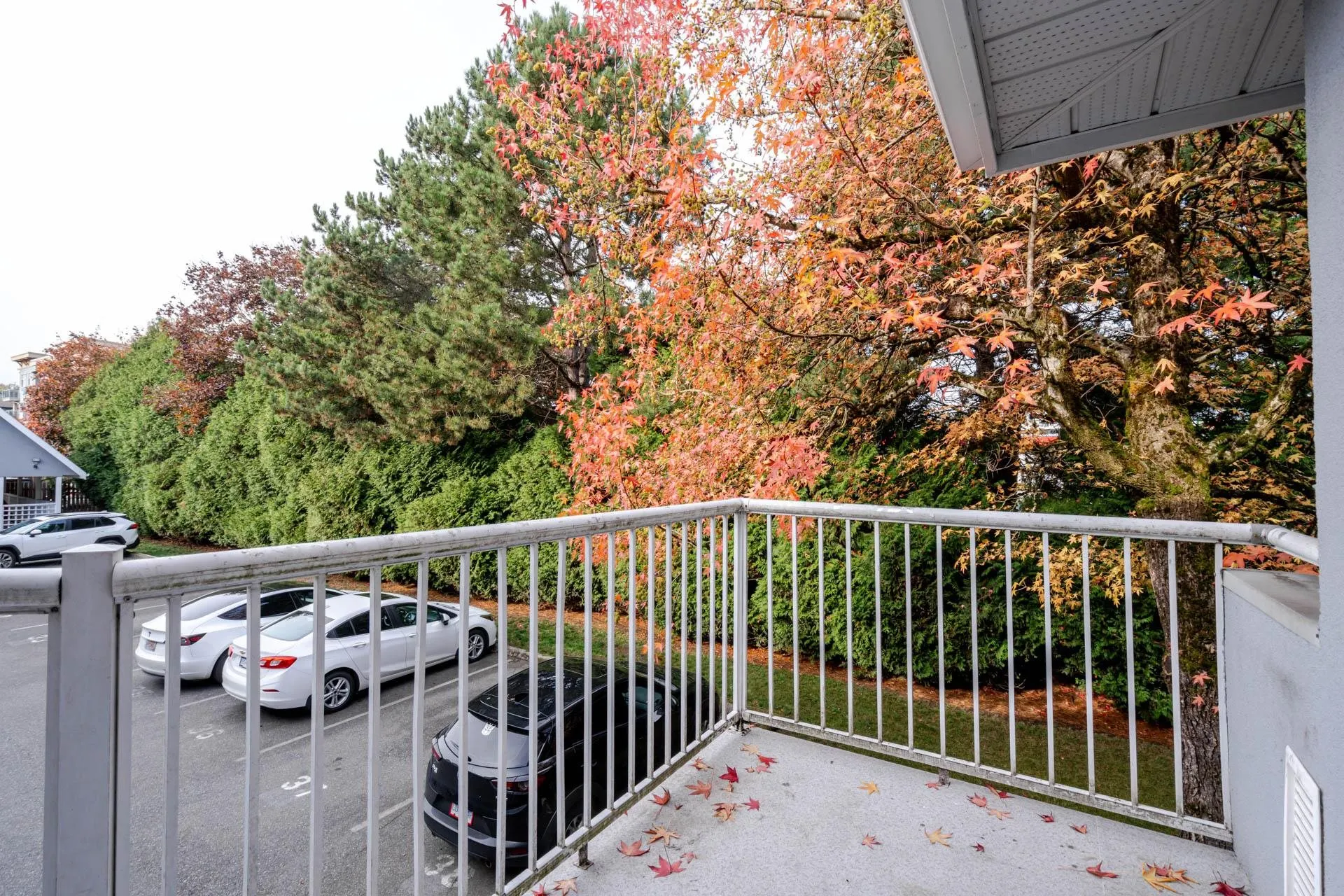 214 19953 55a Avenue