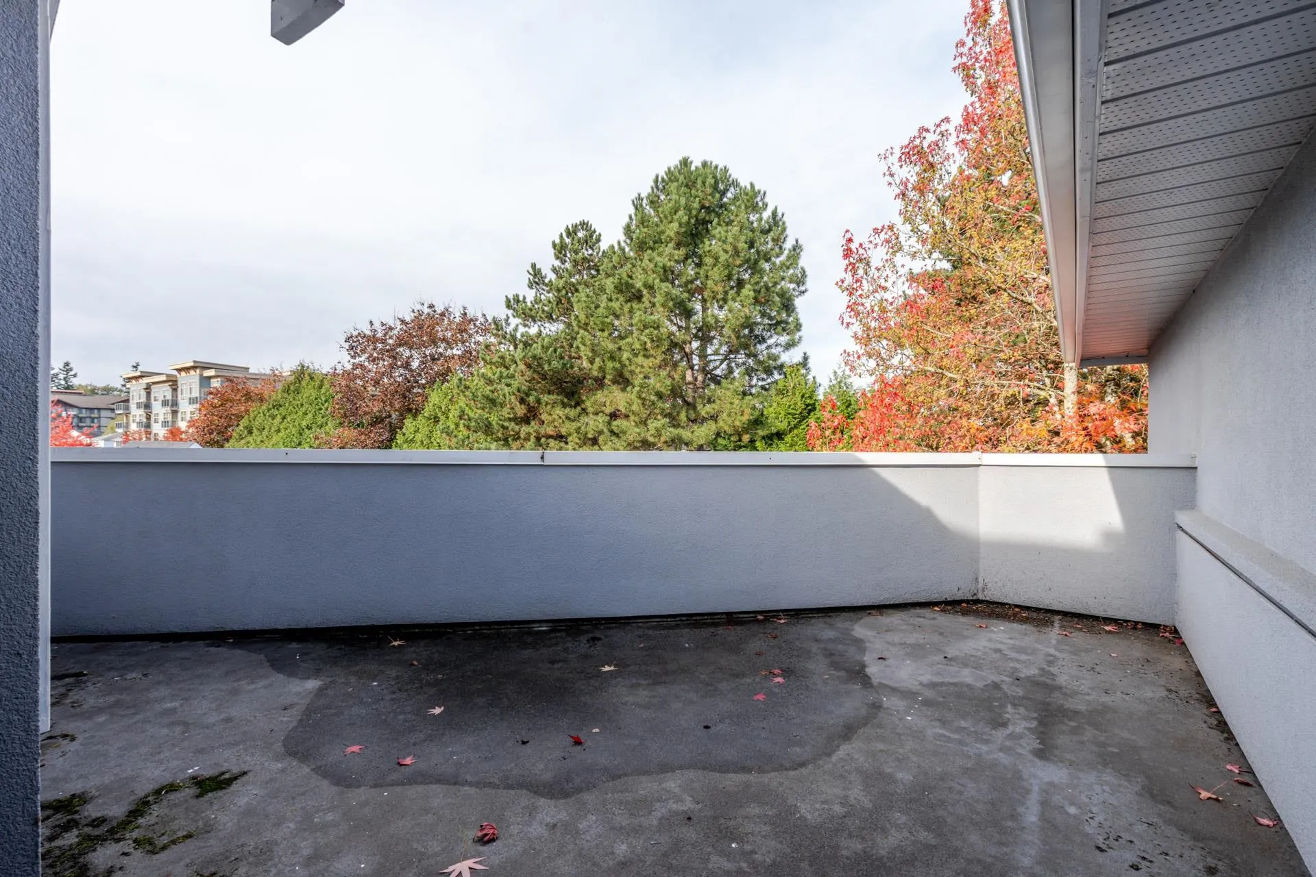 214 19953 55a Avenue