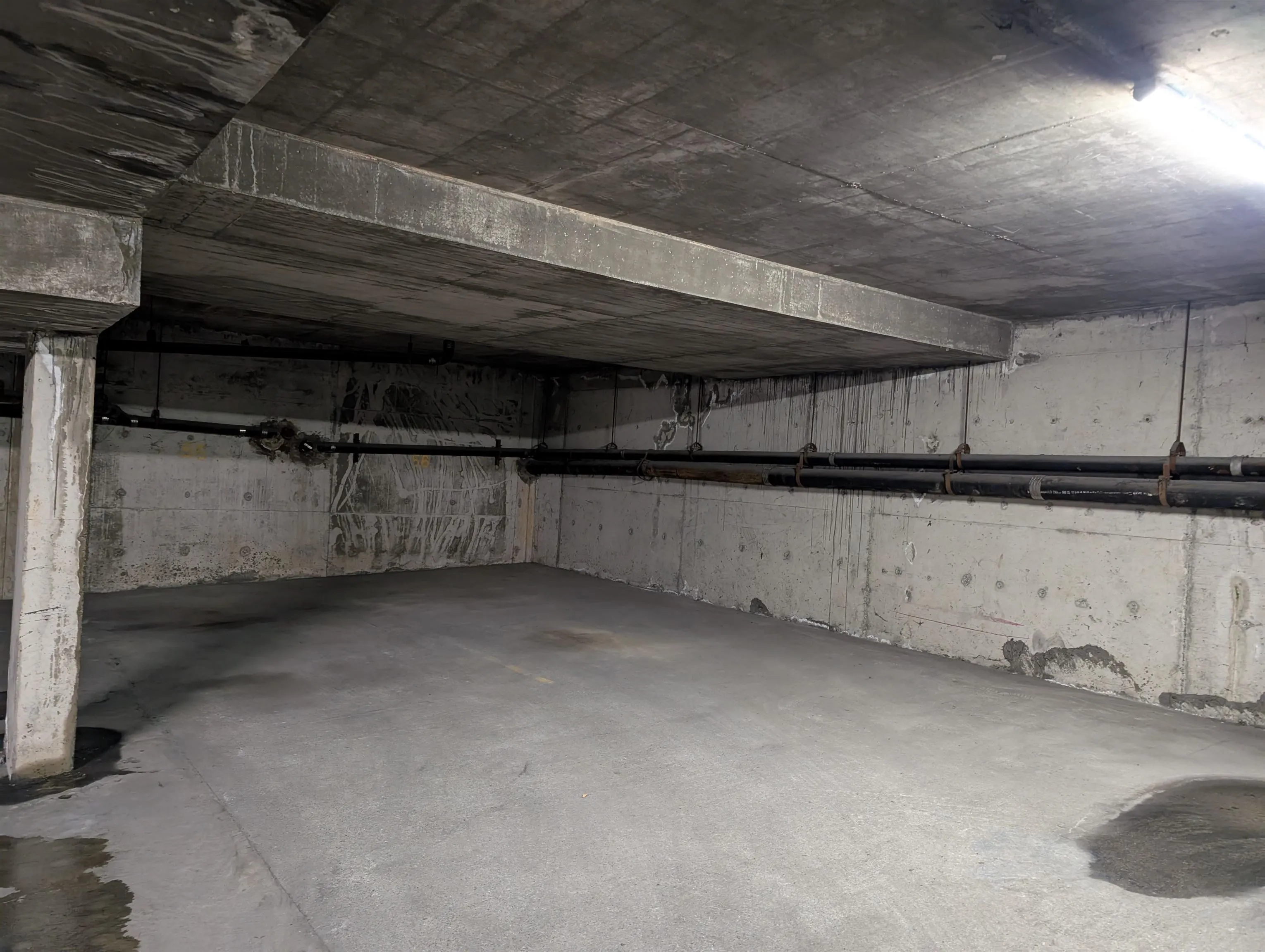 303 33850 Fern Street