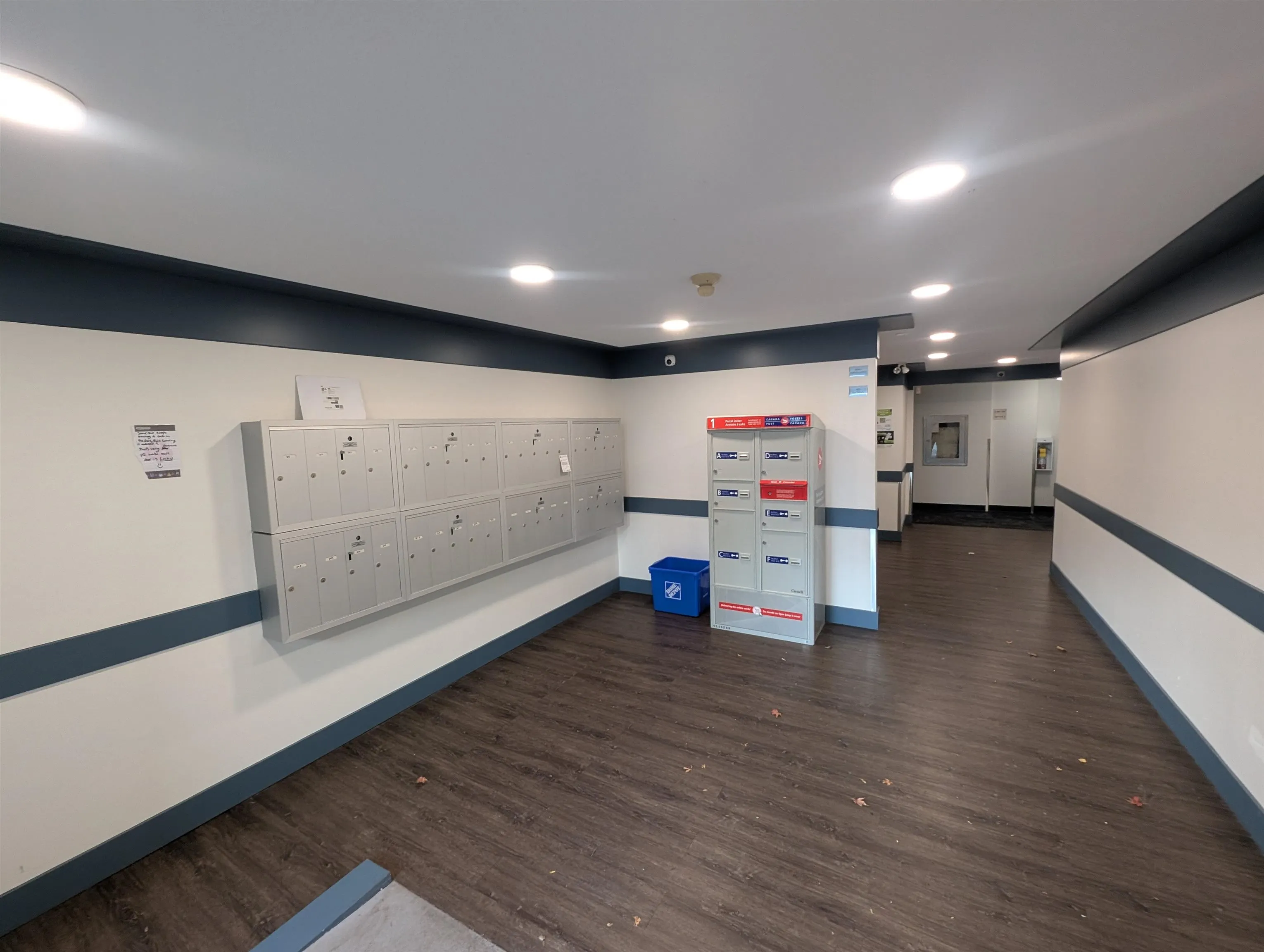 303 33850 Fern Street