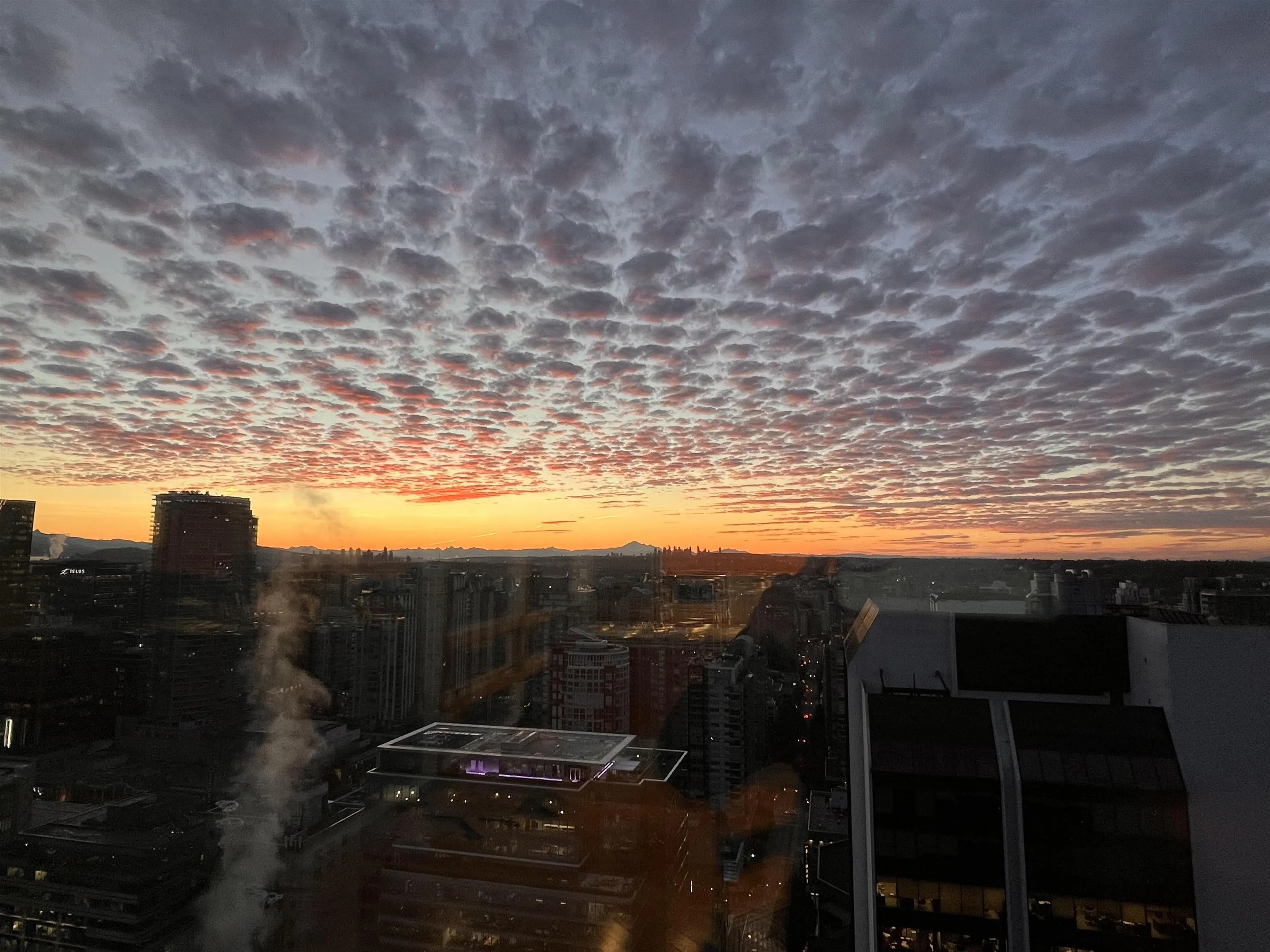 3204 938 Nelson Street