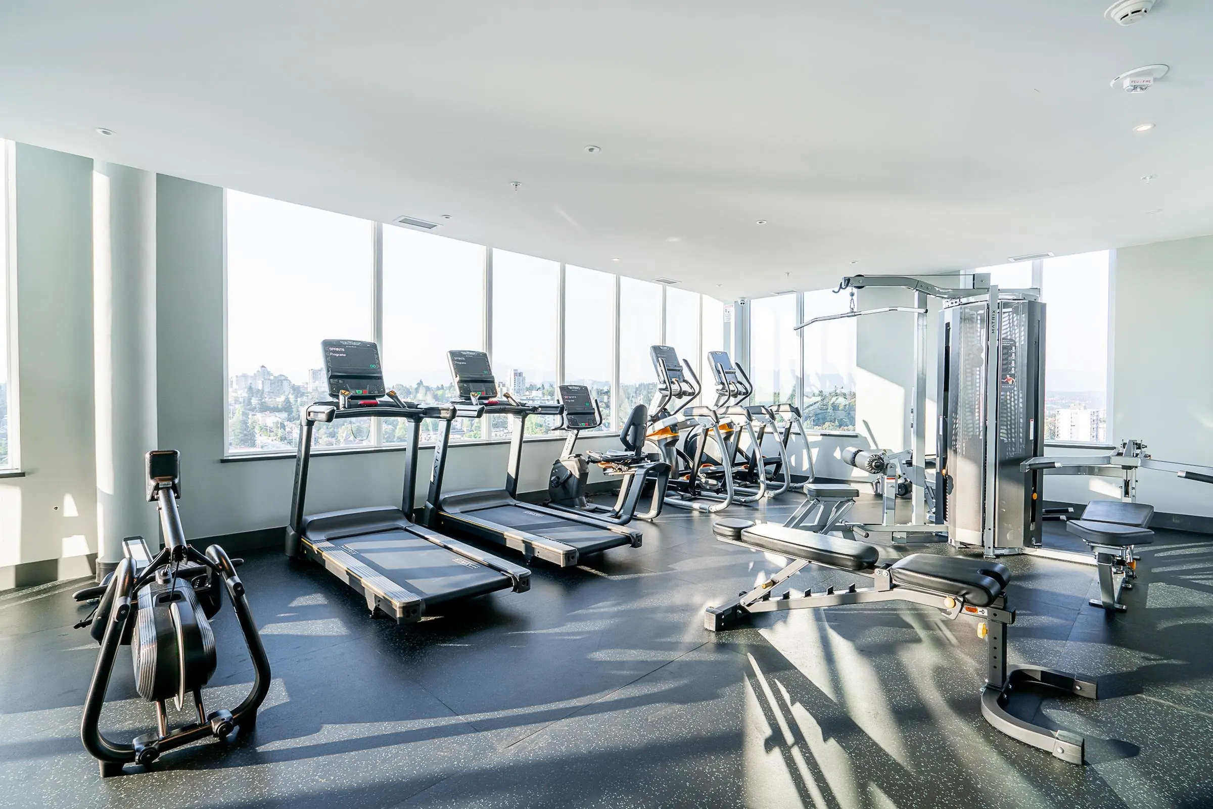 2901 823 Carnarvon Street