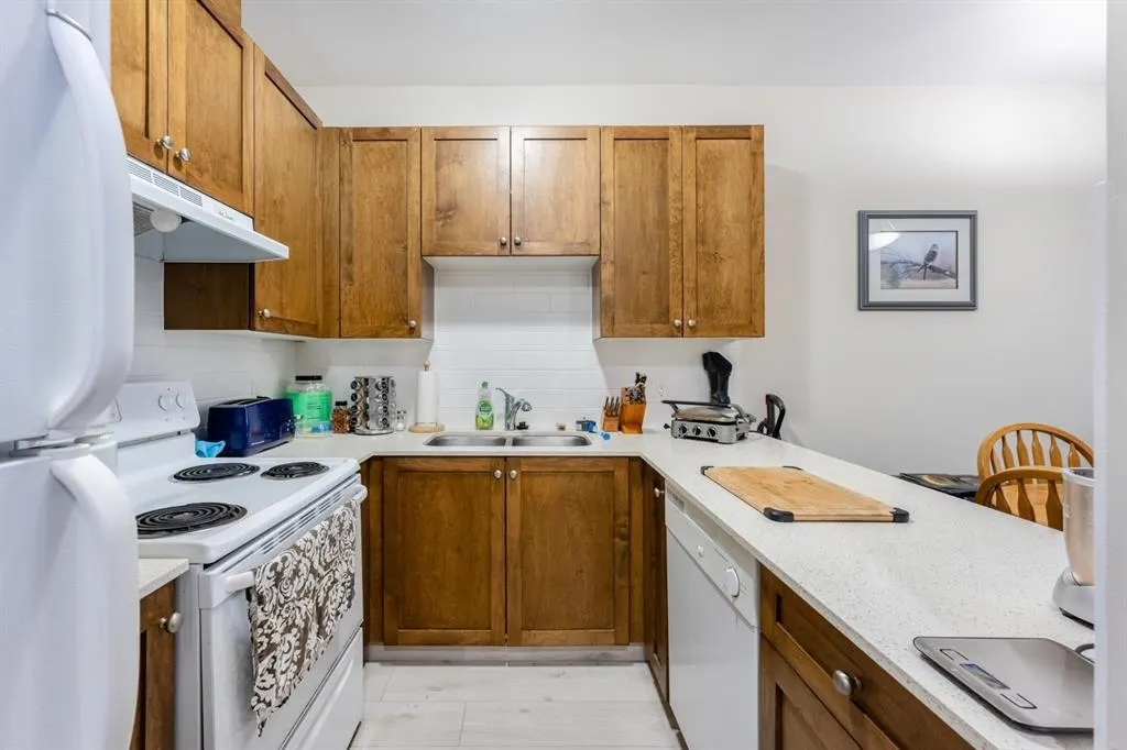 519 13277 108 Avenue