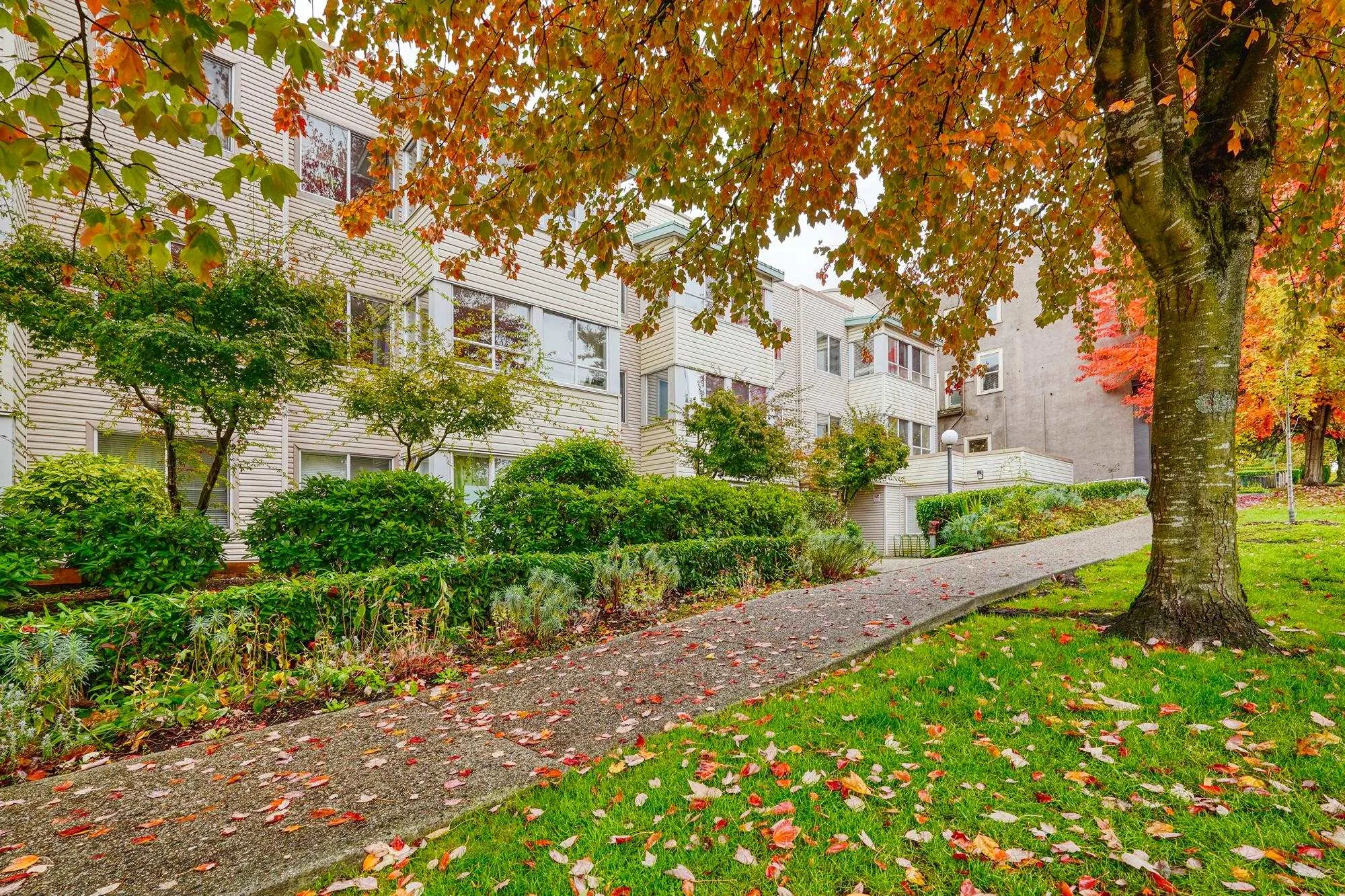 211 3624 Fraser Street