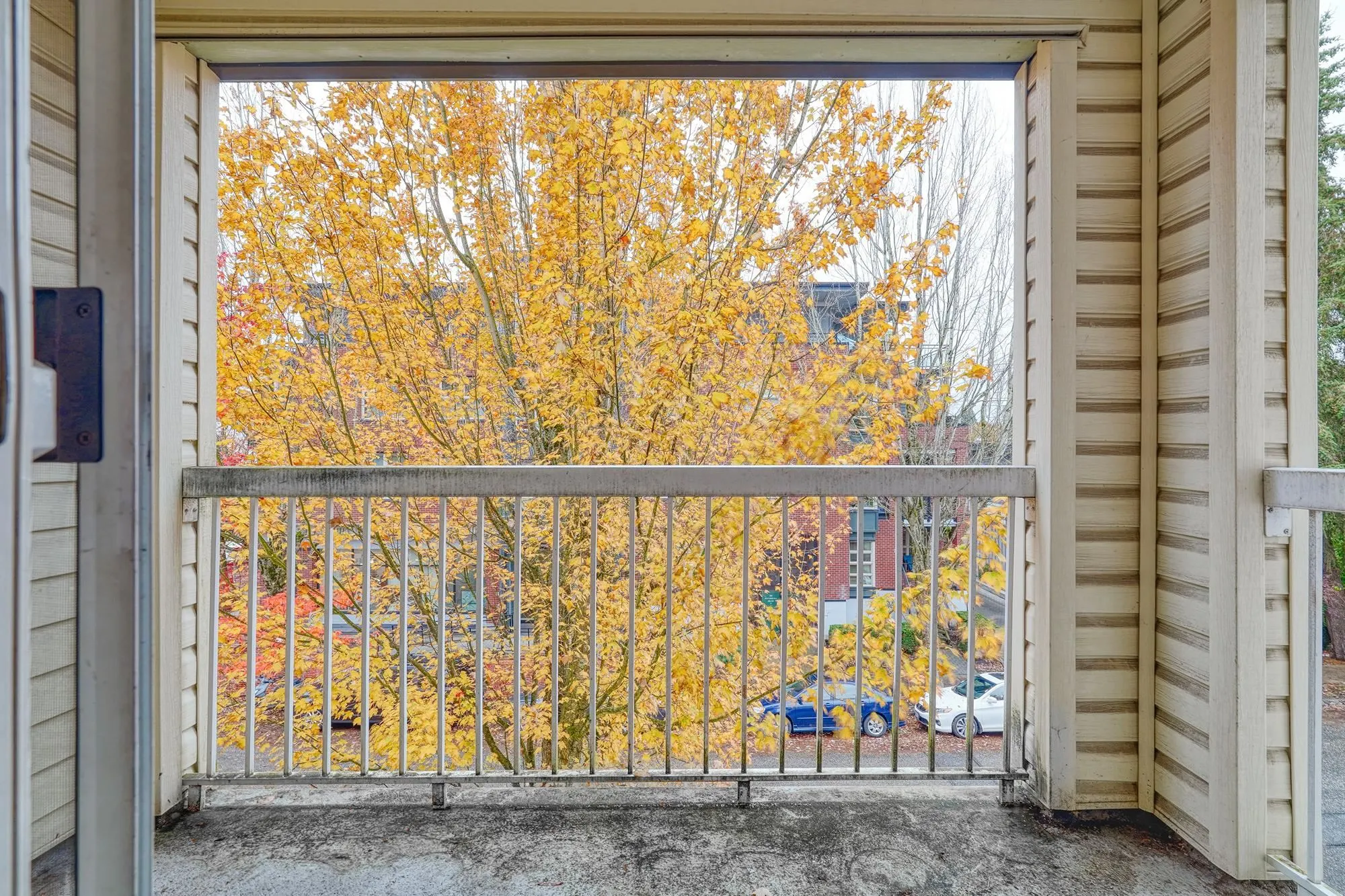 211 3624 Fraser Street