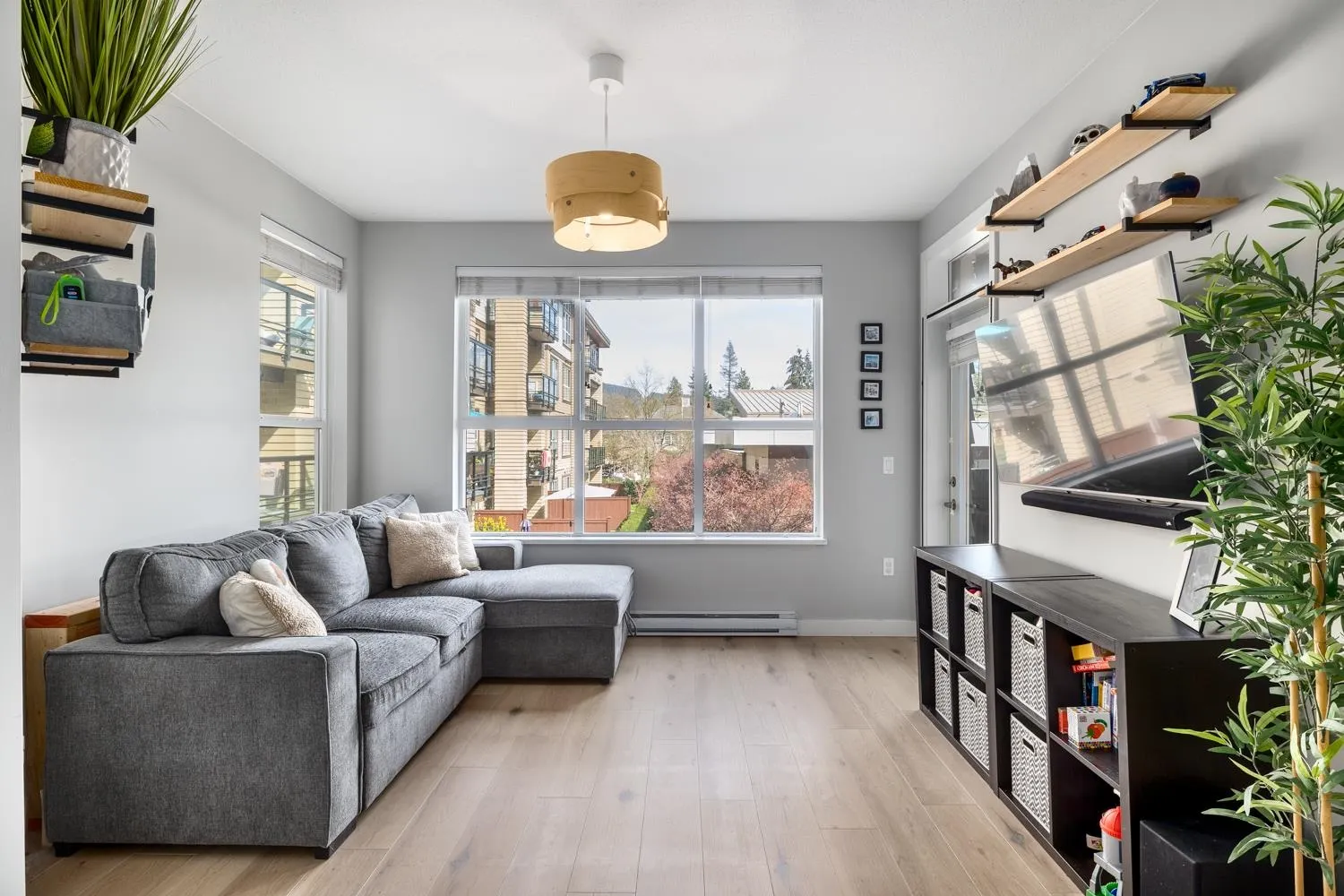 207 3205 Mountain Highway