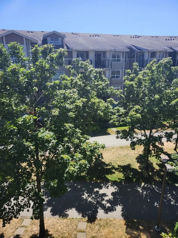 301 5788 Sidley Street