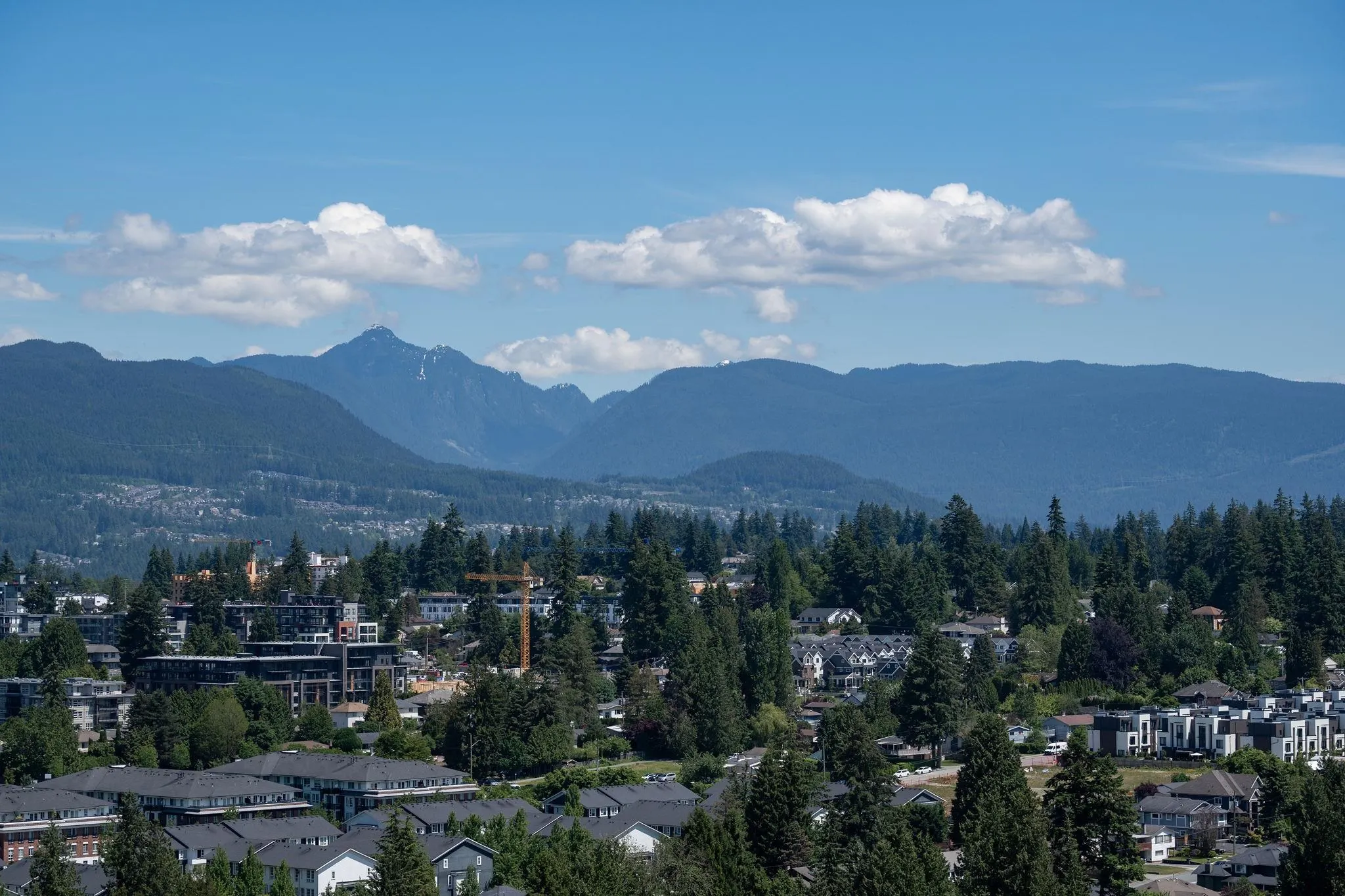 3606 9888 Cameron Street