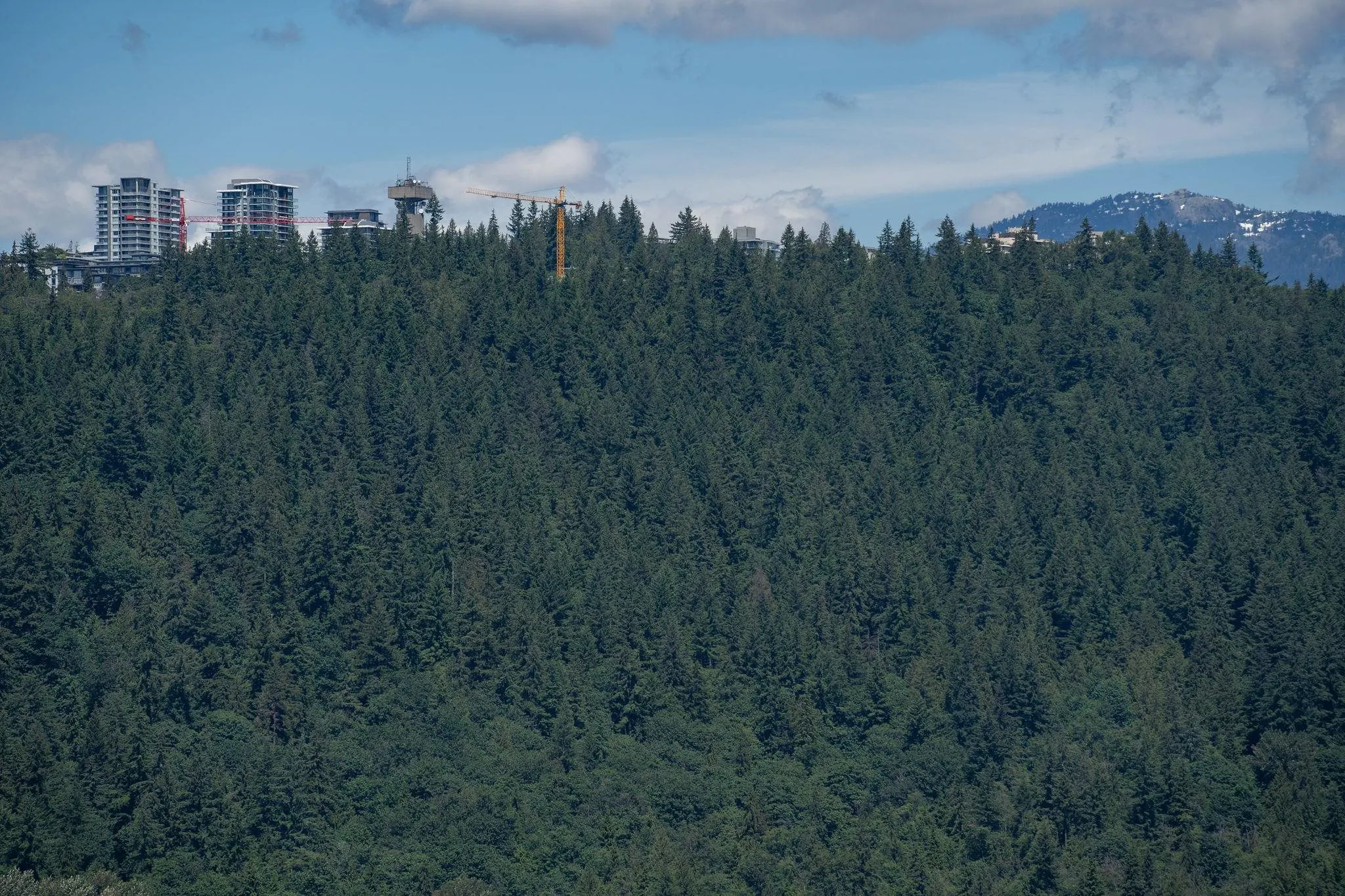 3606 9888 Cameron Street