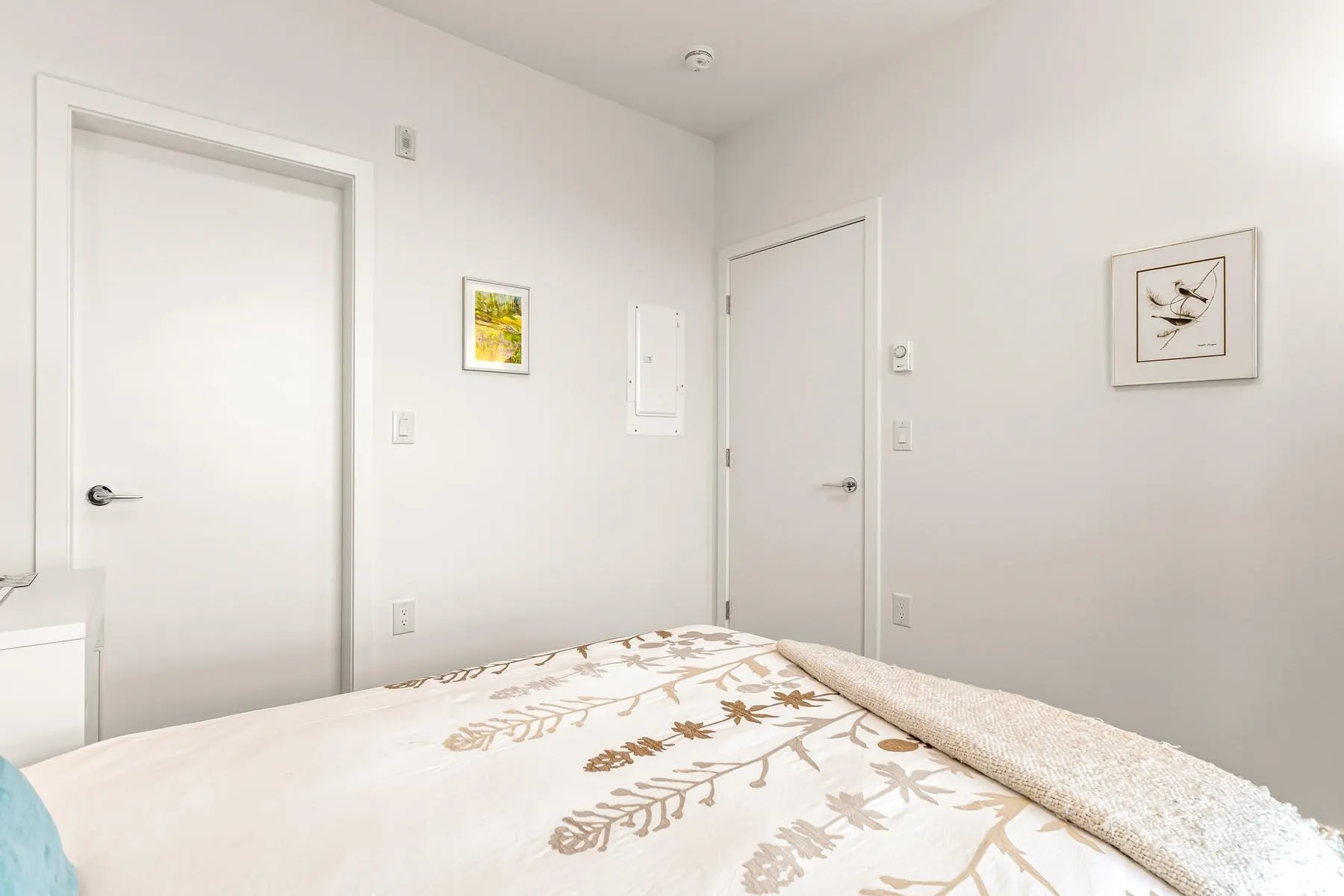 328 2499 Rabbit Drive