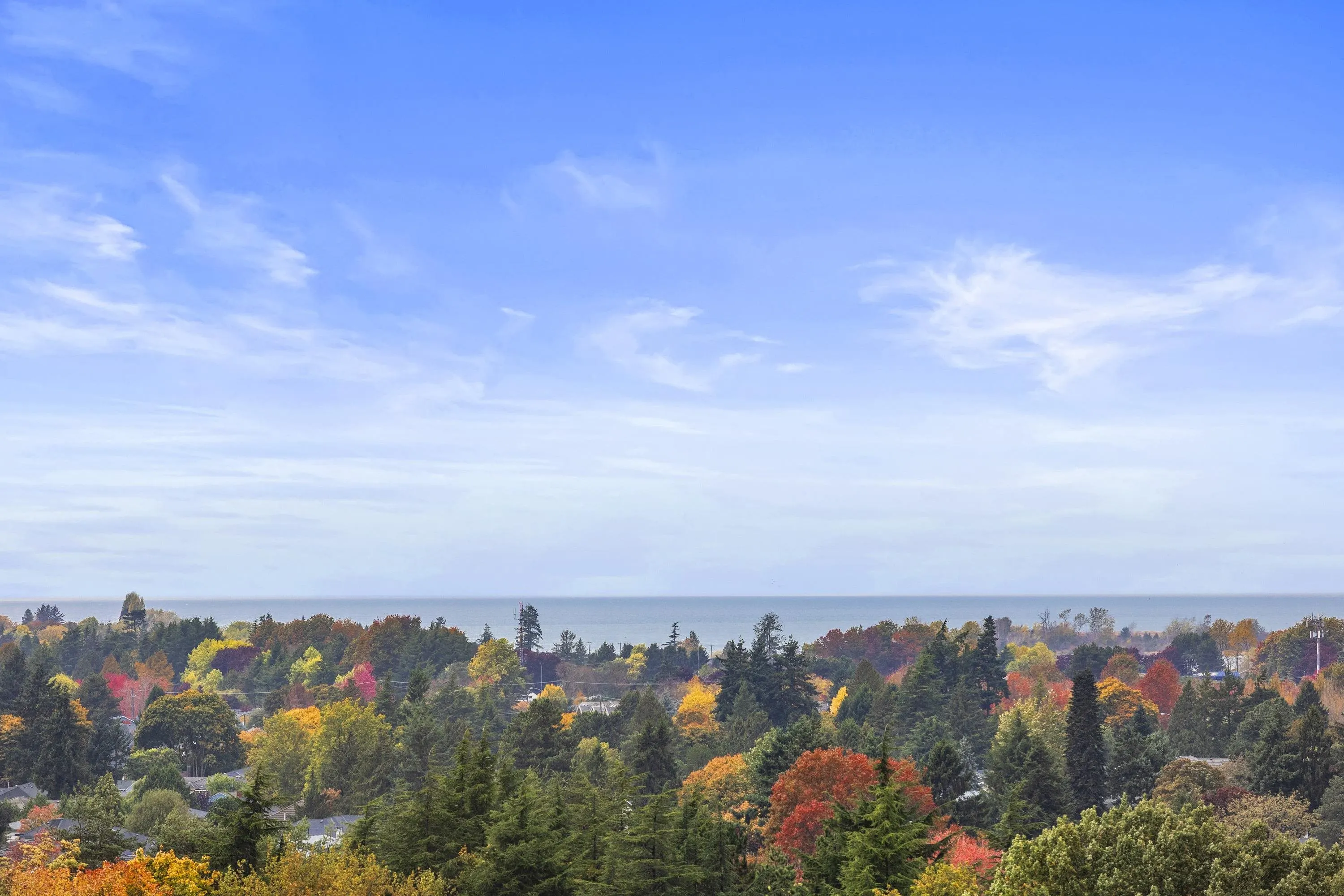 1505 6651 Minoru Boulevard