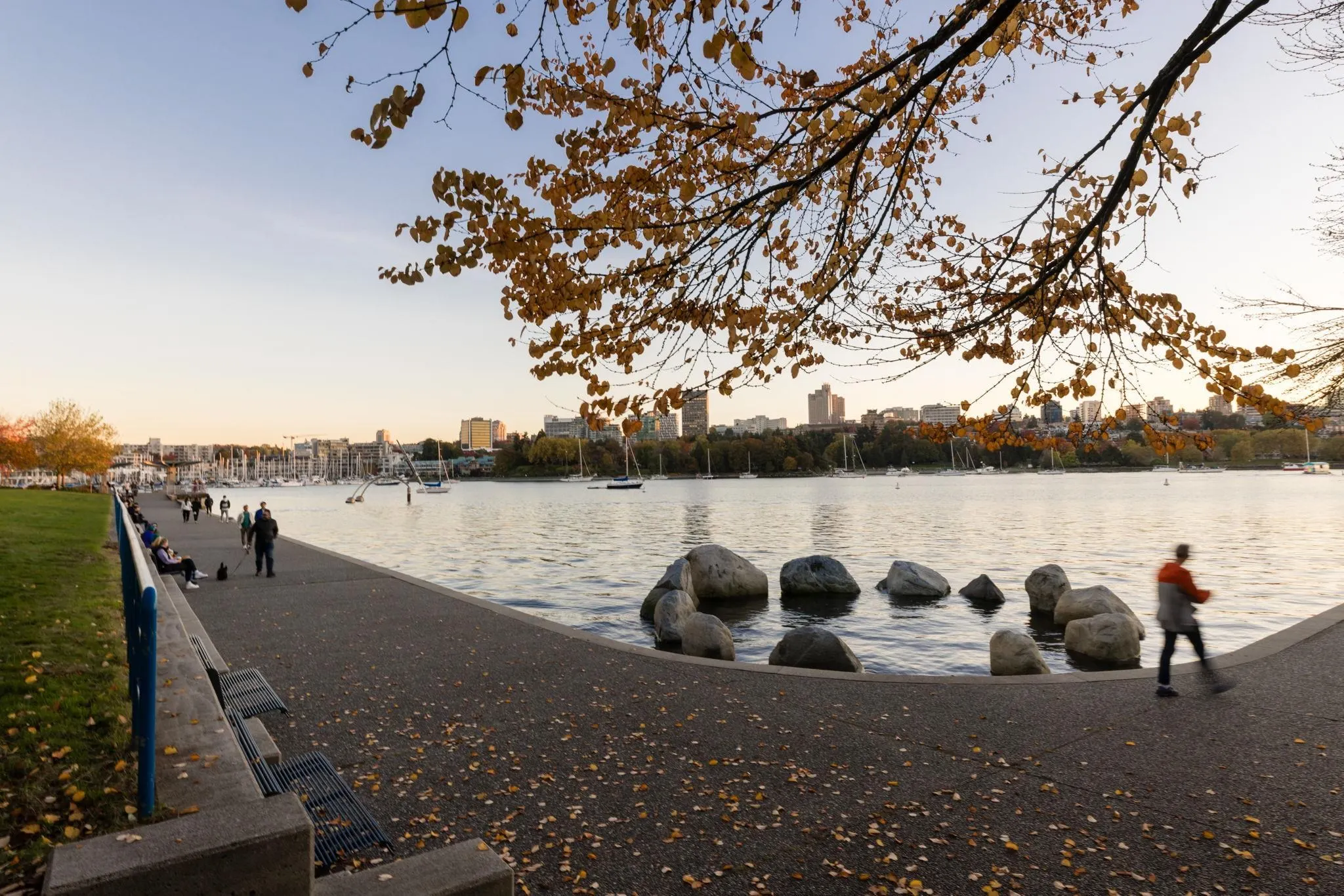 2101 388 Drake Street