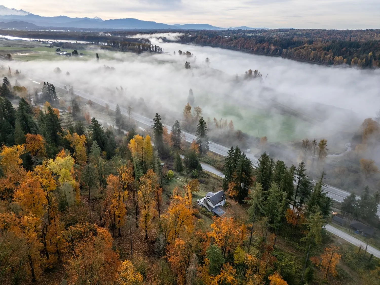 30087 Silverdale Avenue